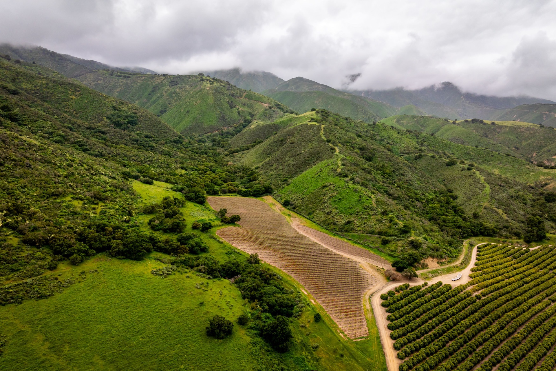 Boekenoogen Santa Lucia Highlands Vineyard