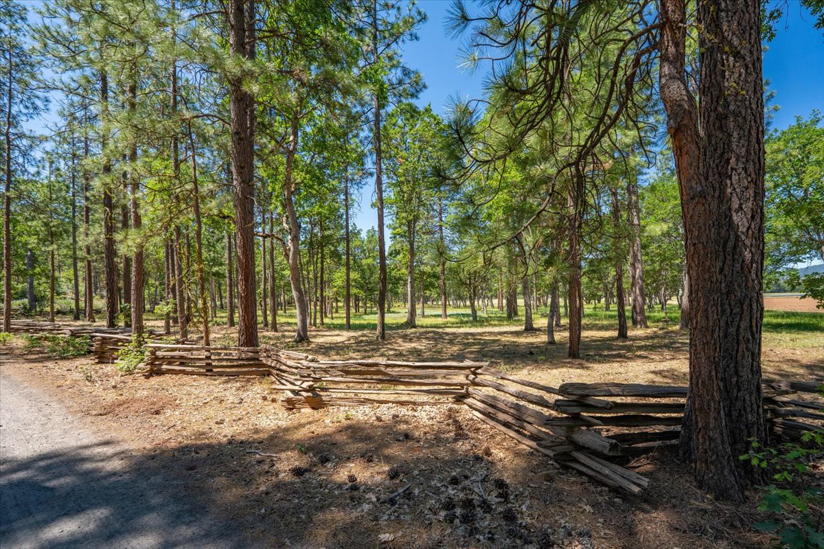 Listing Image 83