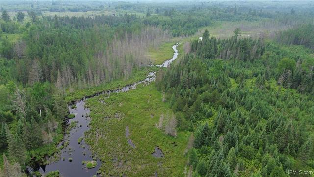 Pure Seclusion River Frontage 50181073