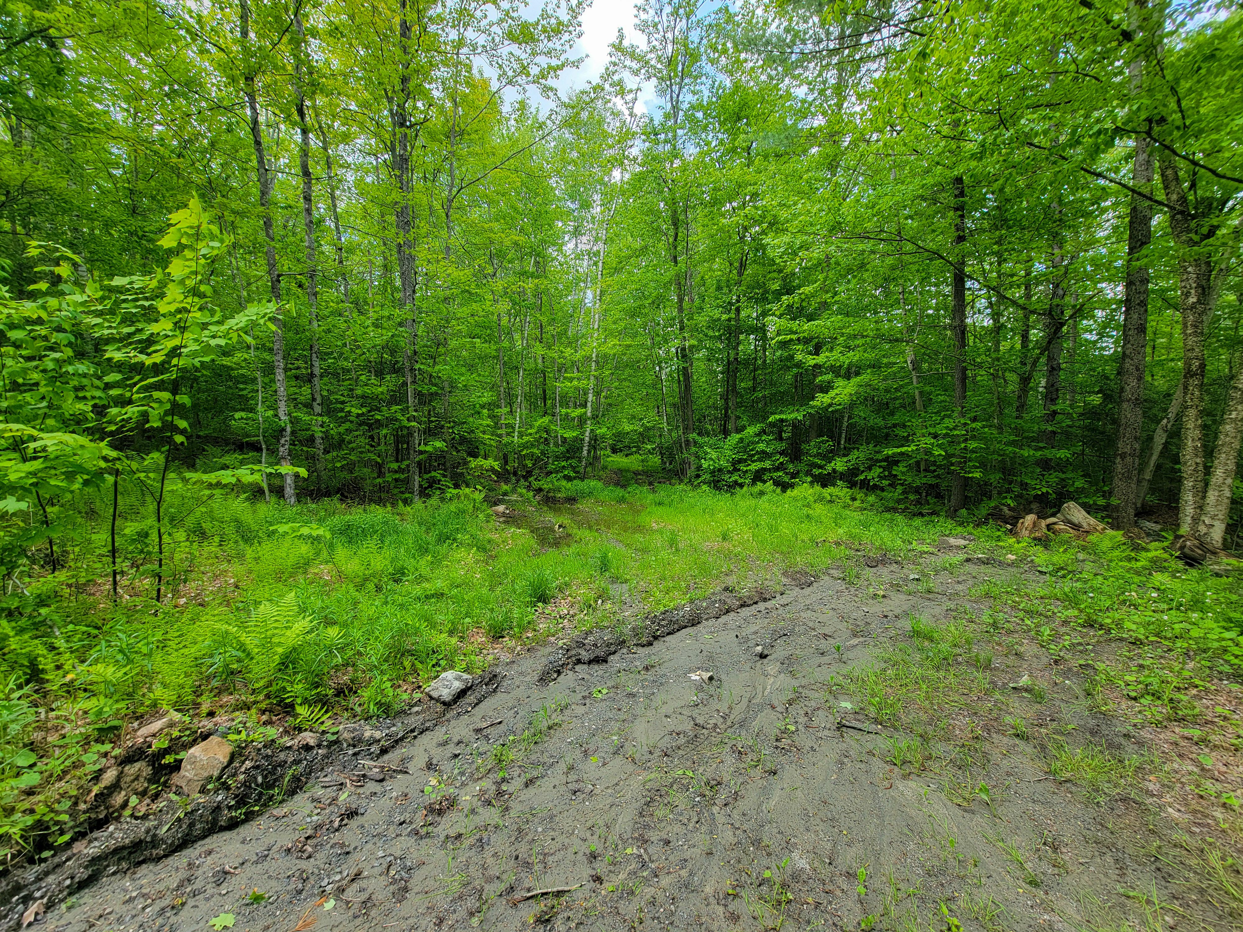 184 Schoolhouse Rd Jamaica