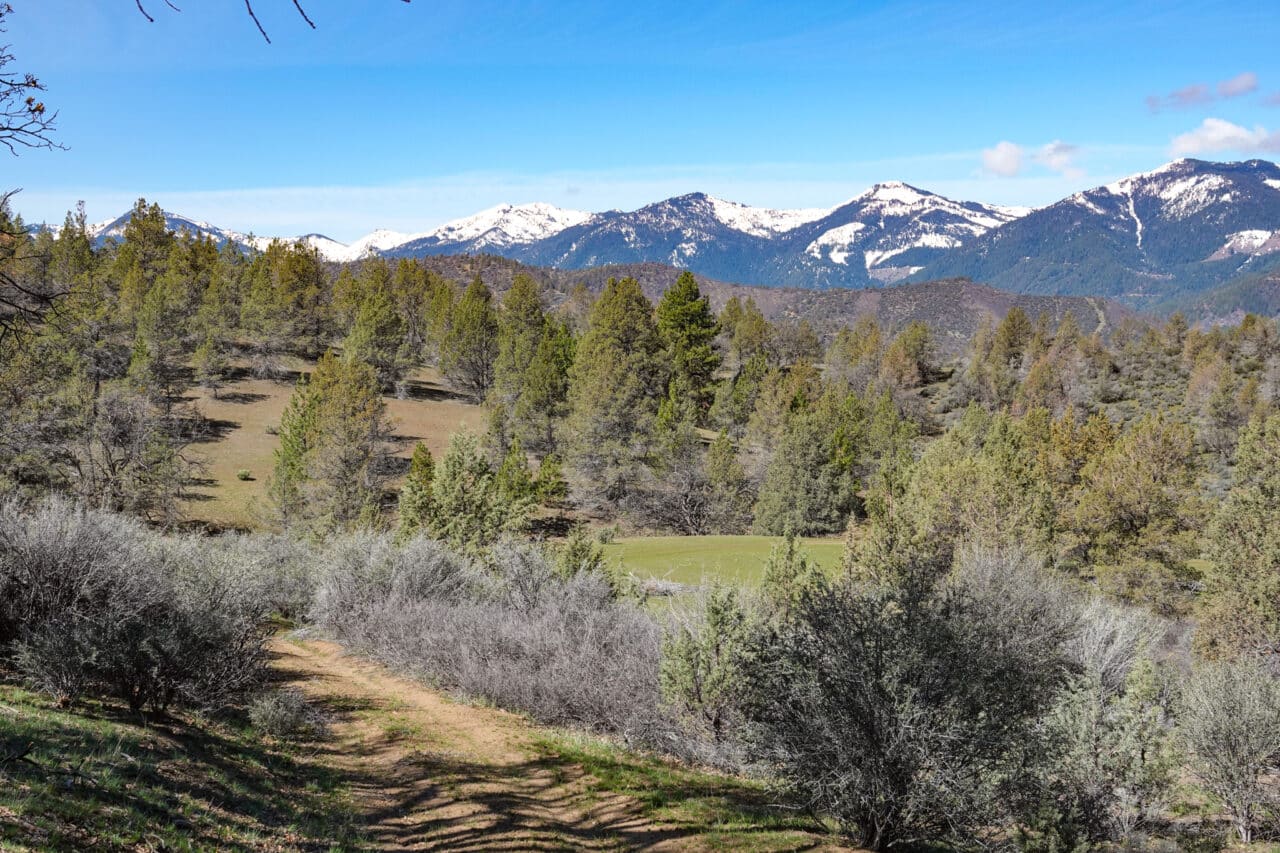 Blacktail Hills Retreat