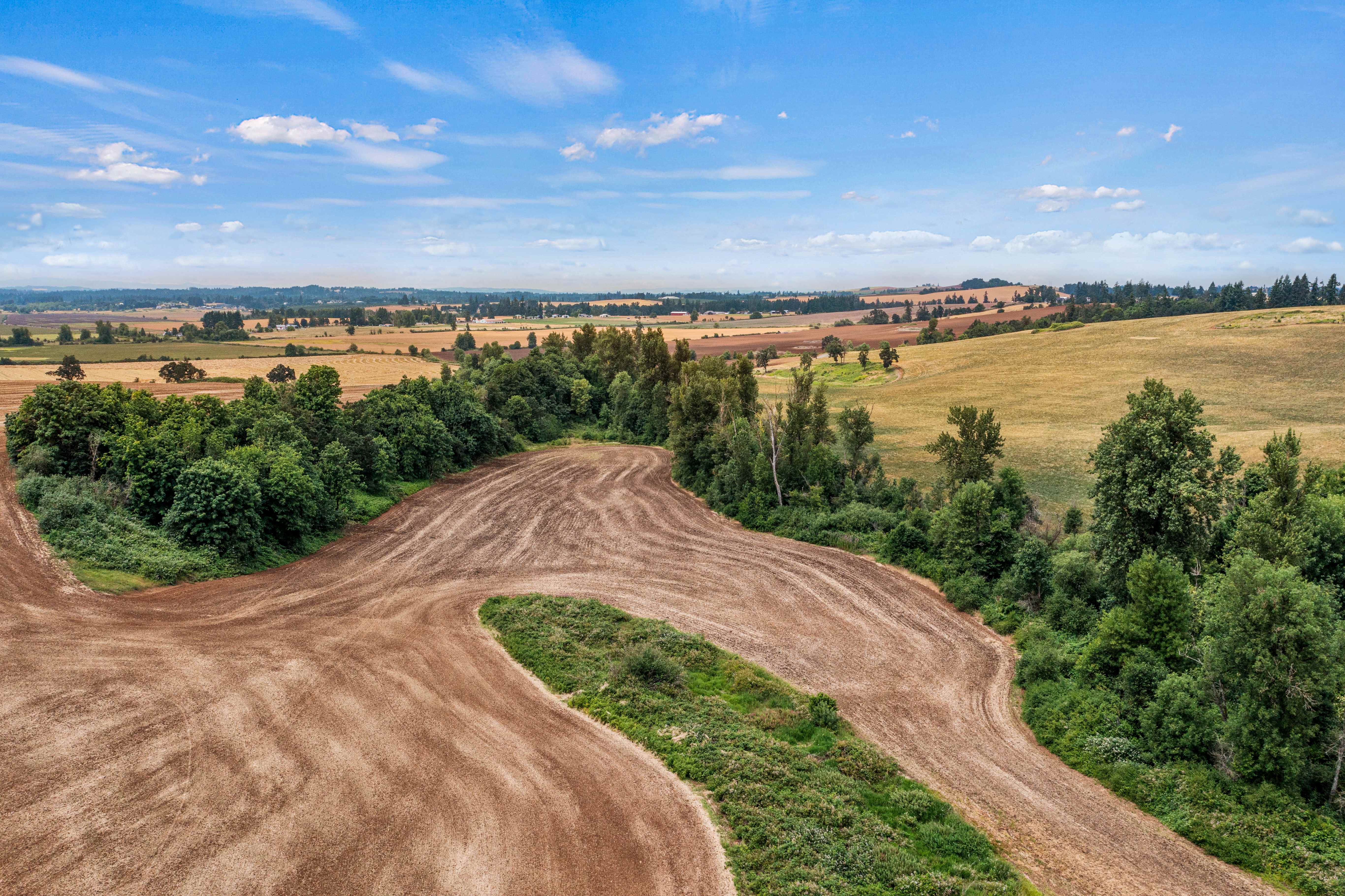 Sublimity 152 — Productive Willamette Valley Farm for Sale with Creek Frontage and Homesite Potential