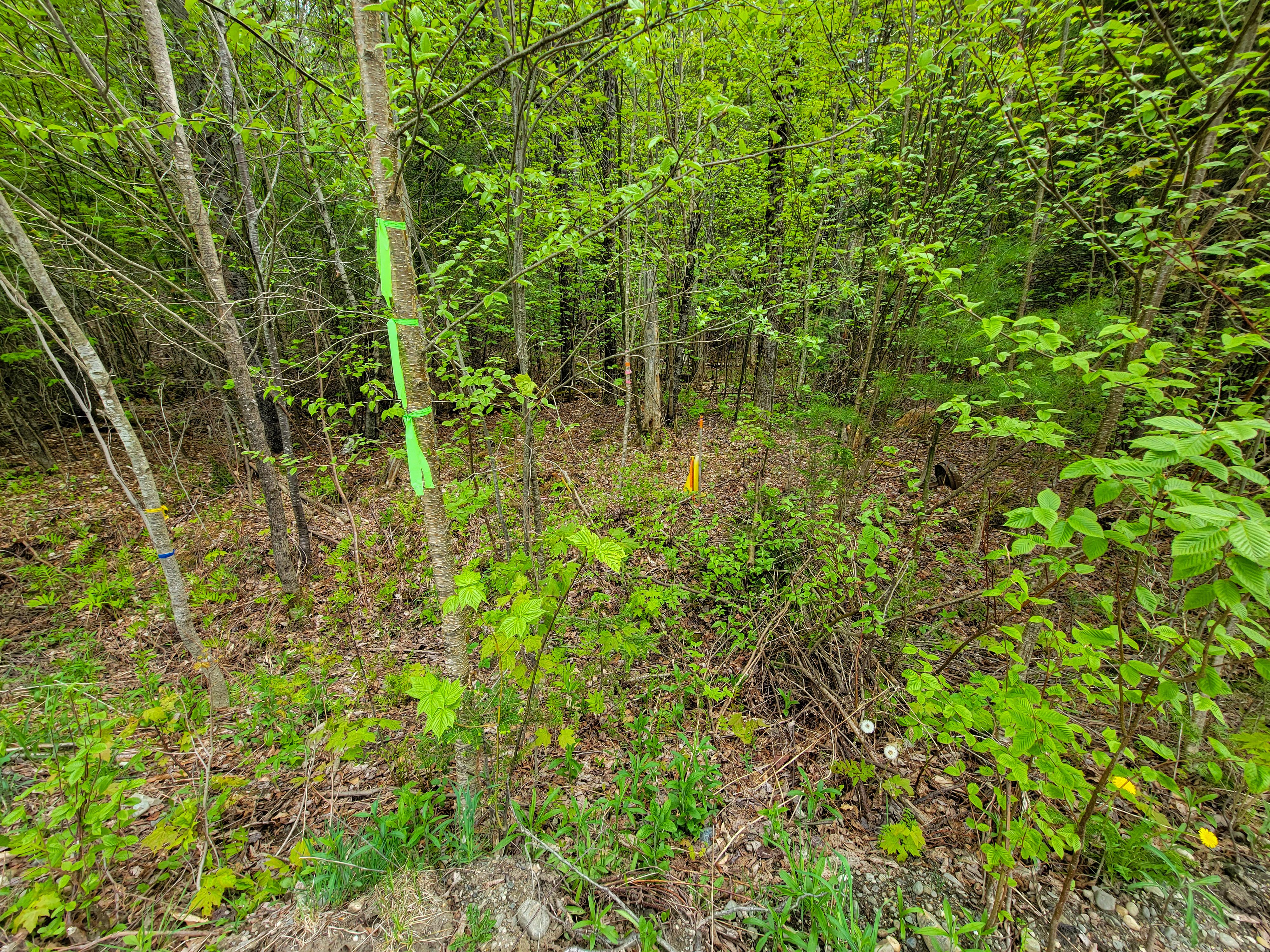 Listing Image 15