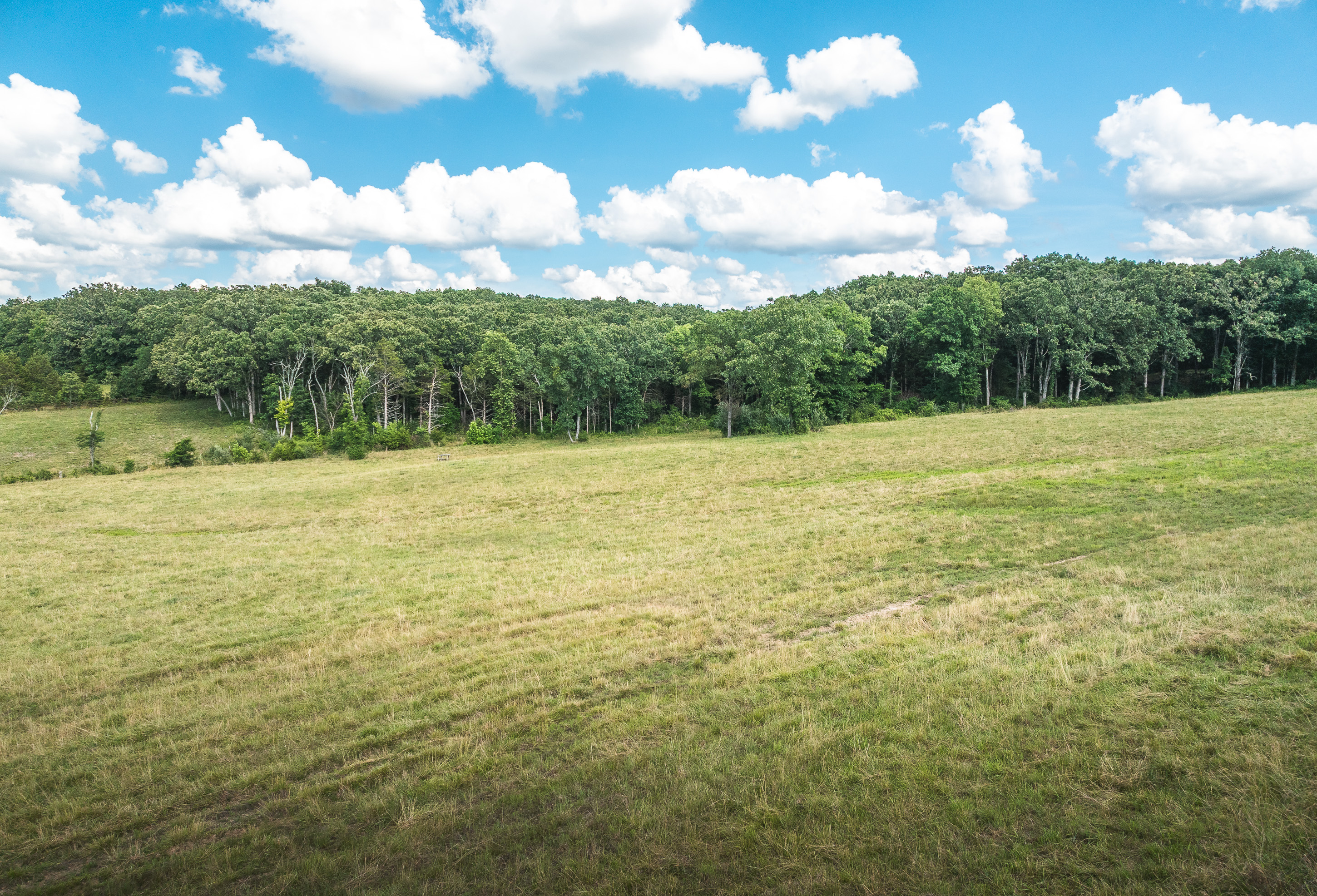 Listing Image 62
