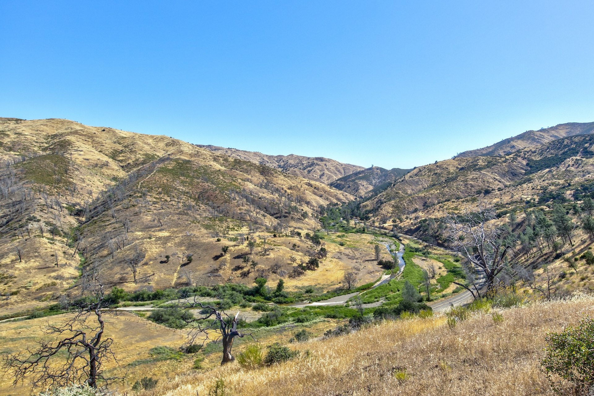 Old Iron Gate Ranch