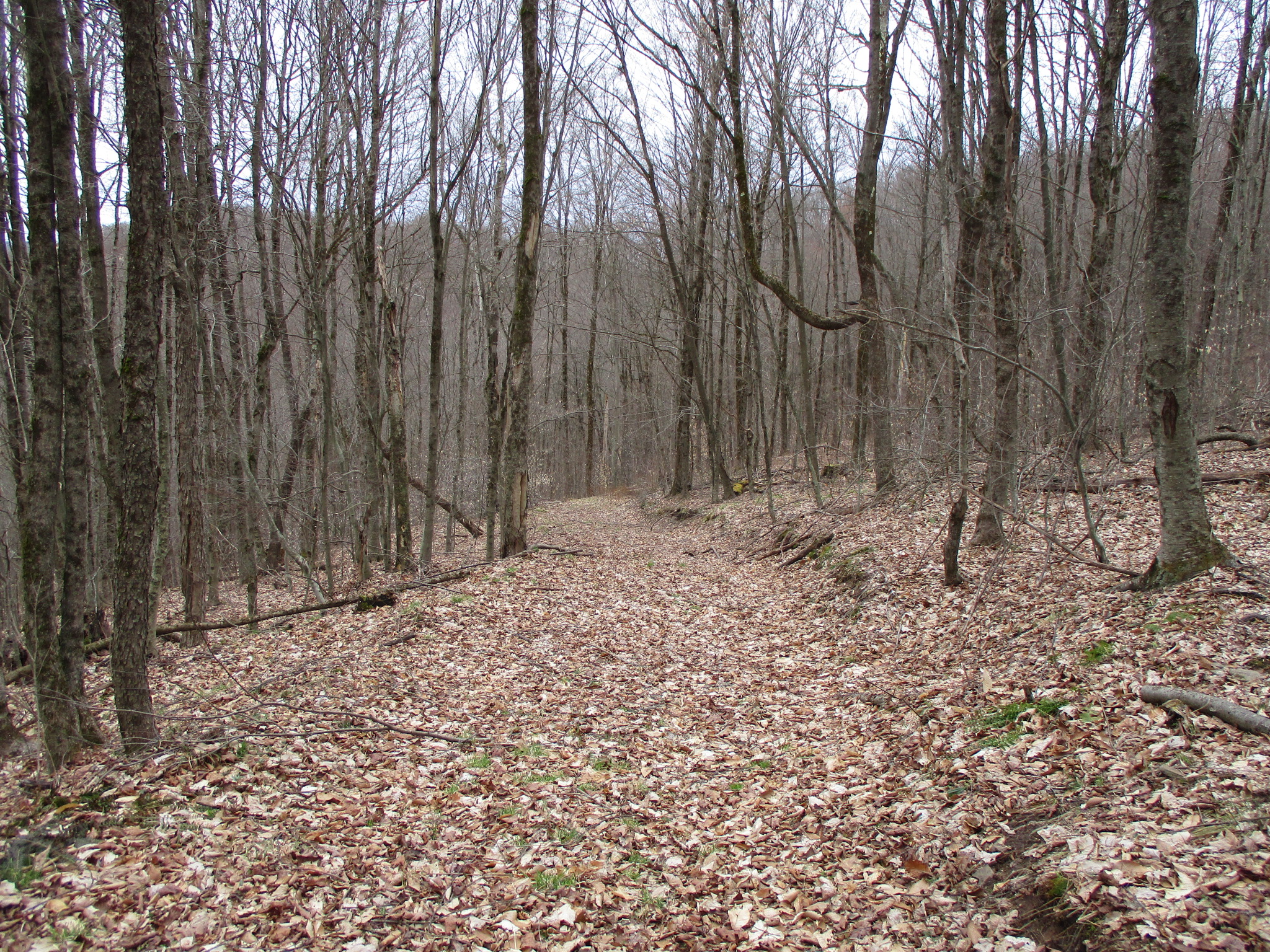 Listing Image 11