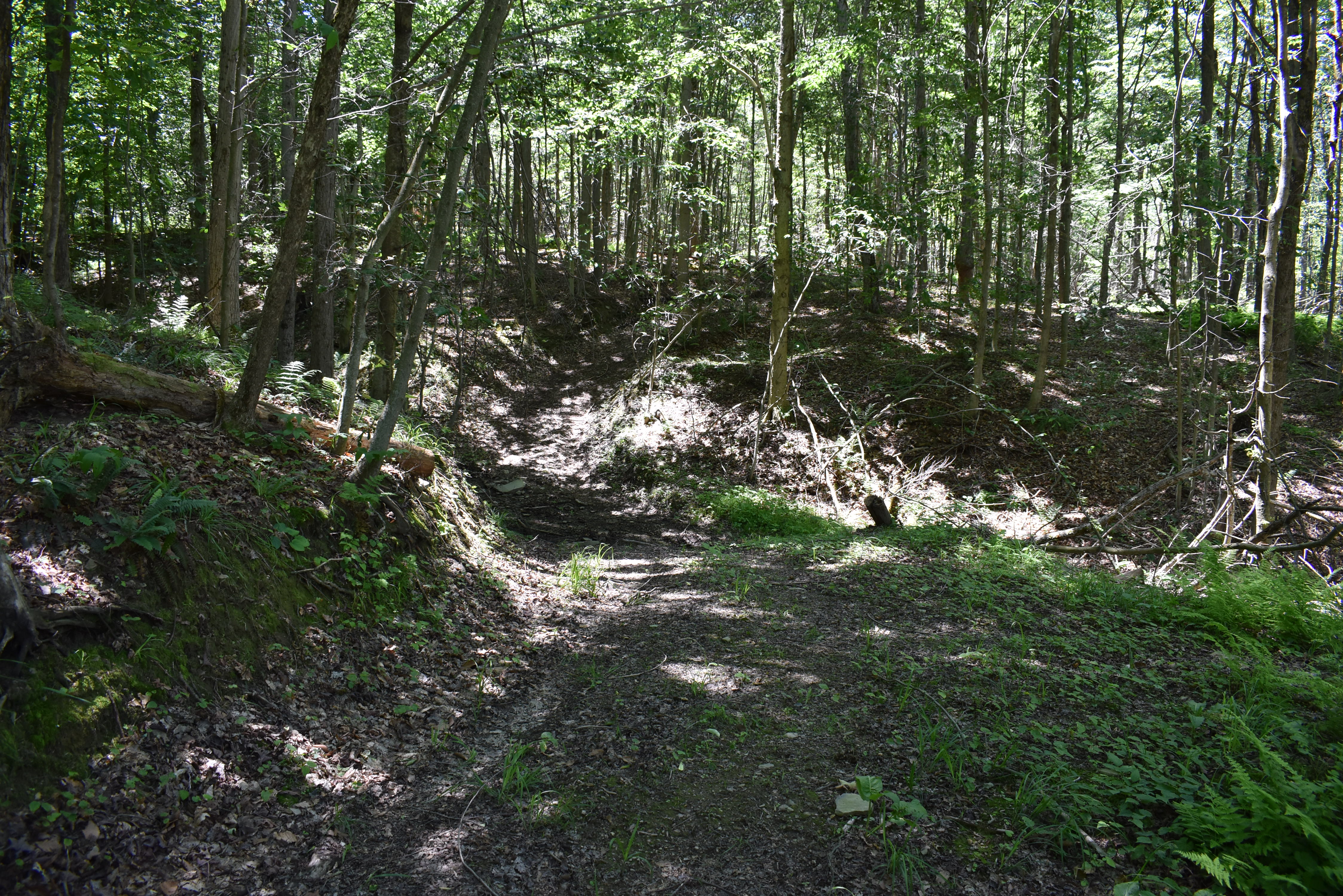 Fabulous Farrington Hollow