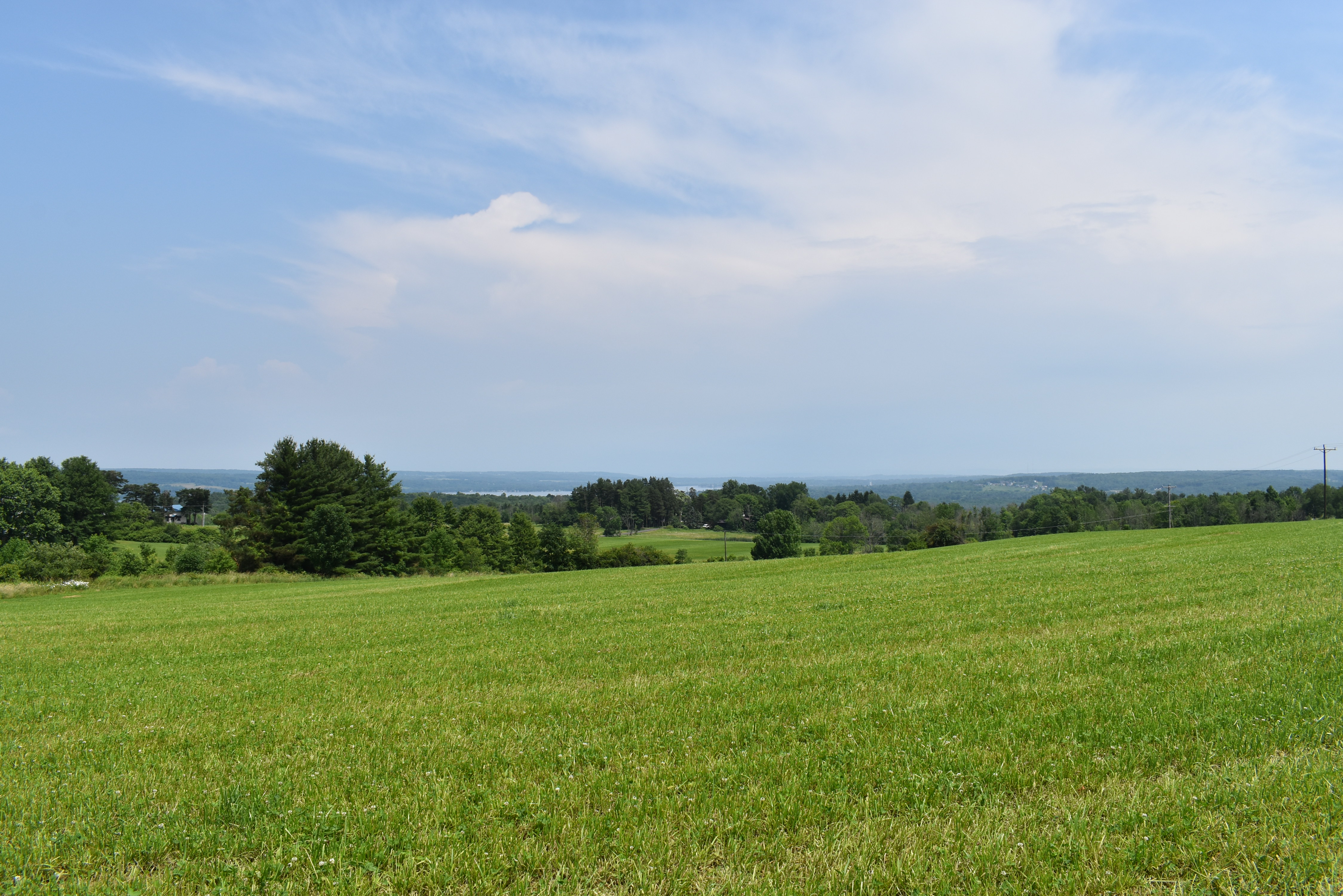 Listing Image 98