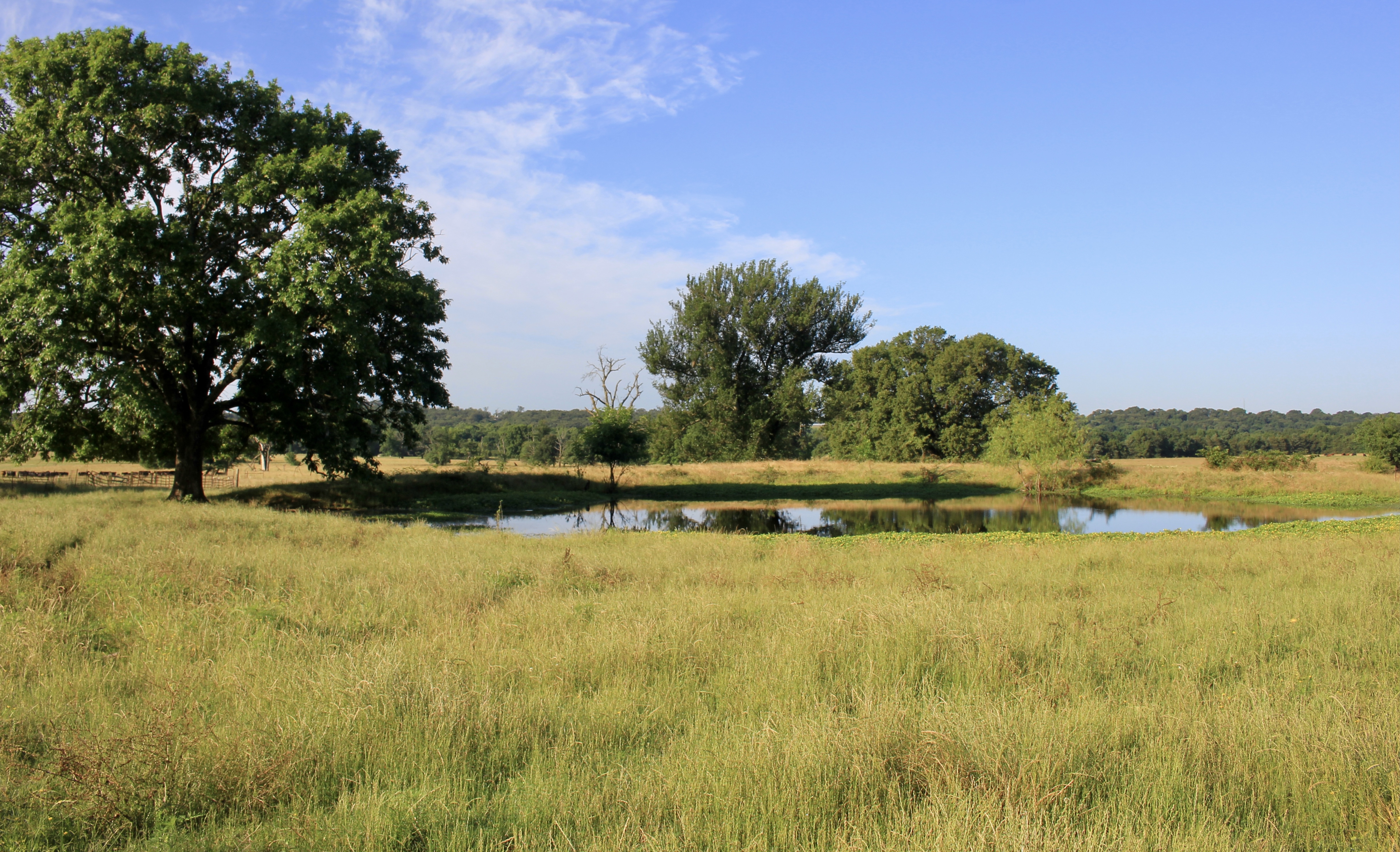 River Valley Rotational Grazing