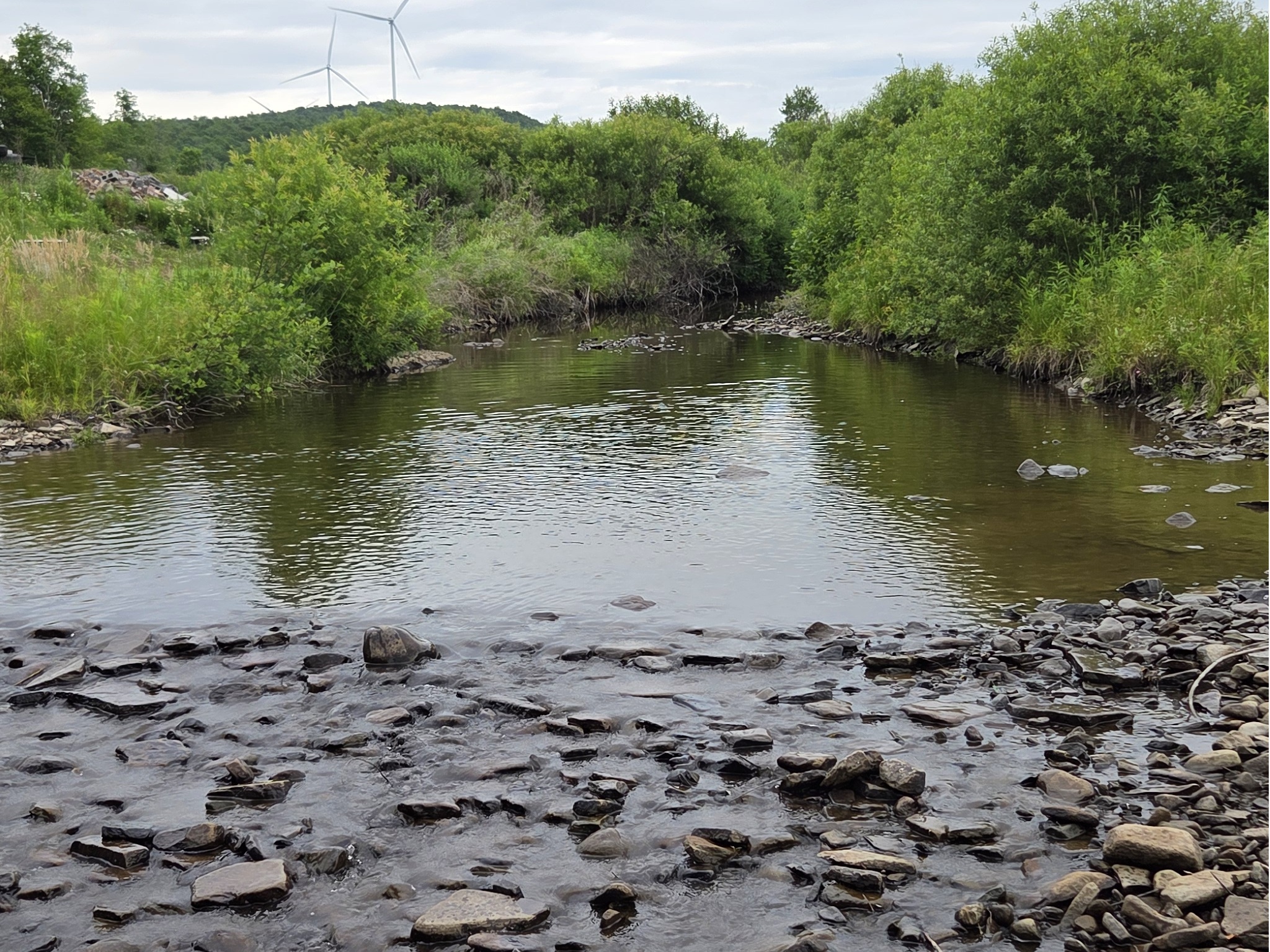 Listing Image 41