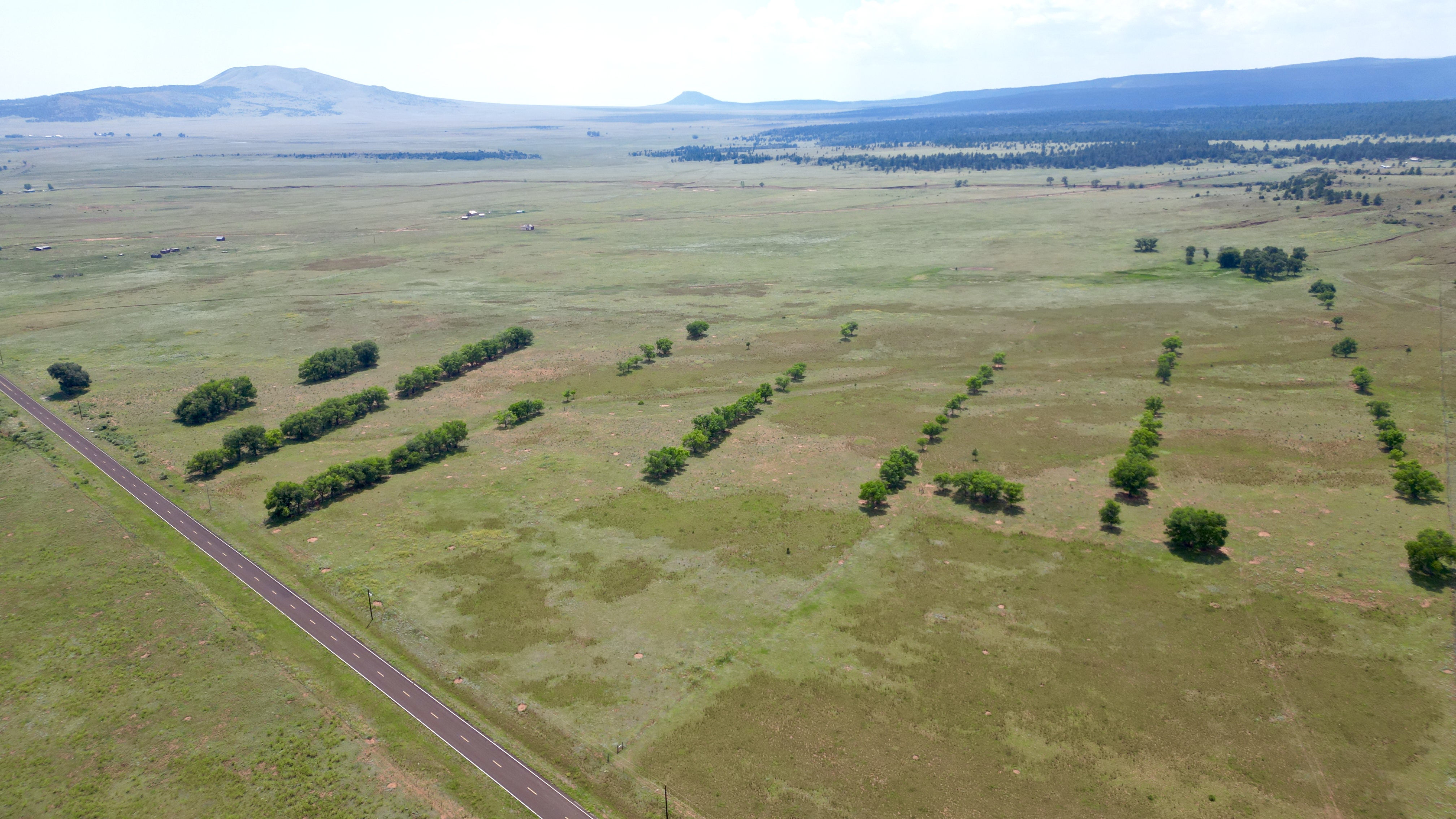 OLC Ranch