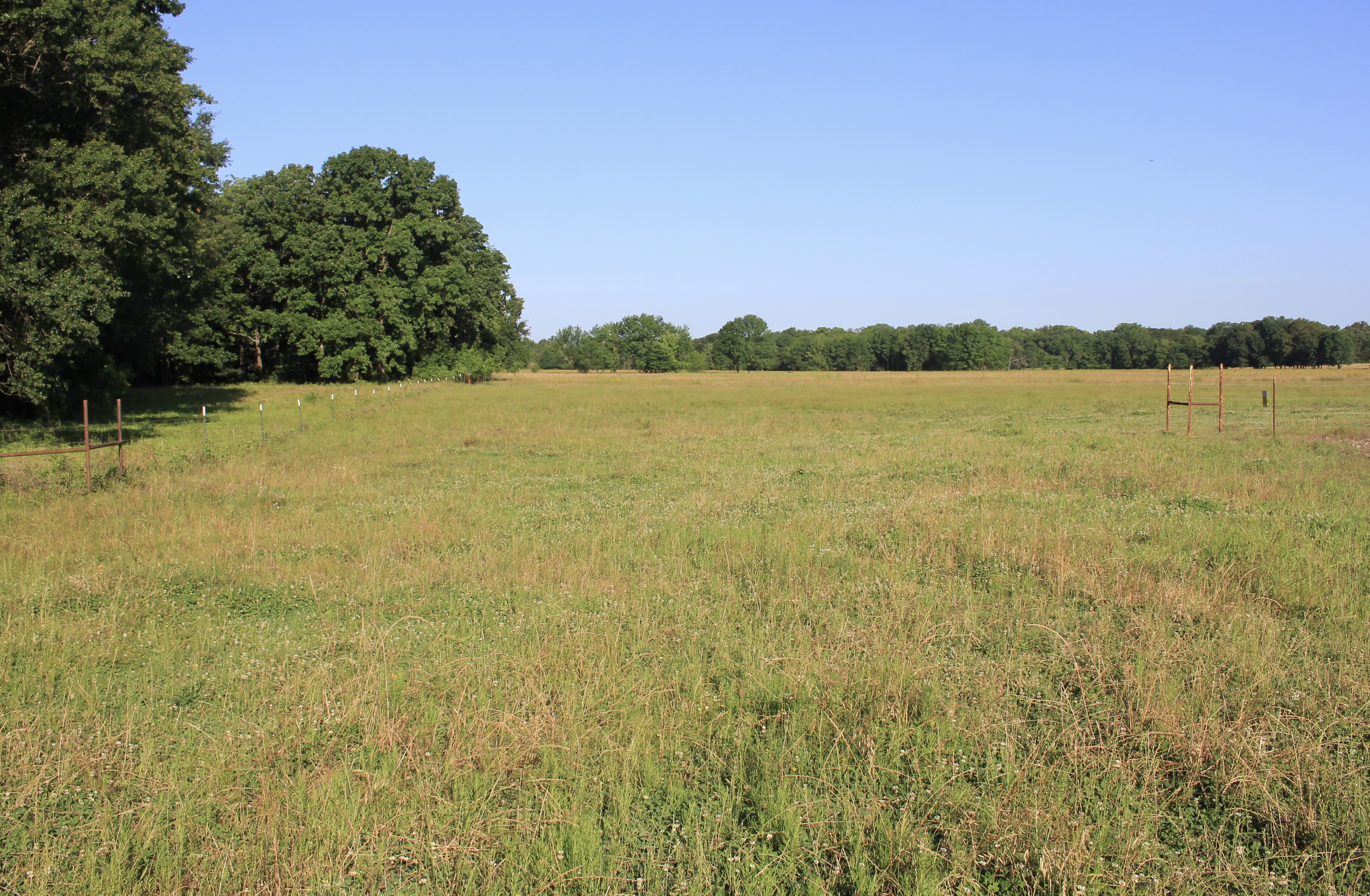River Valley Rotational Grazing