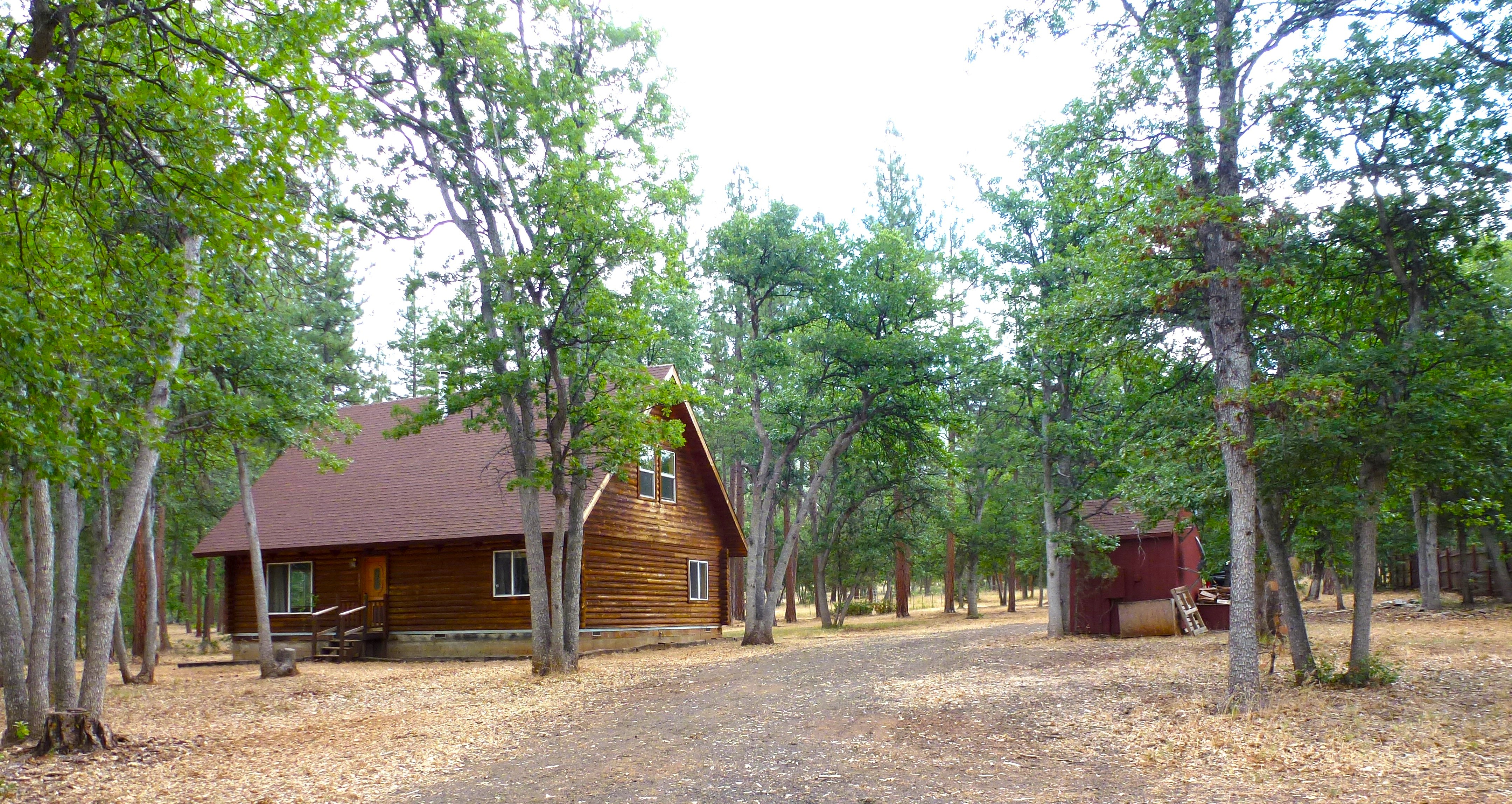 Log Home in the Pines