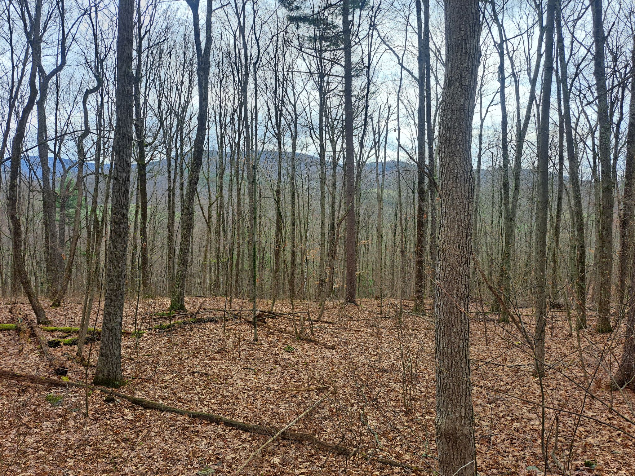 Listing Image 36