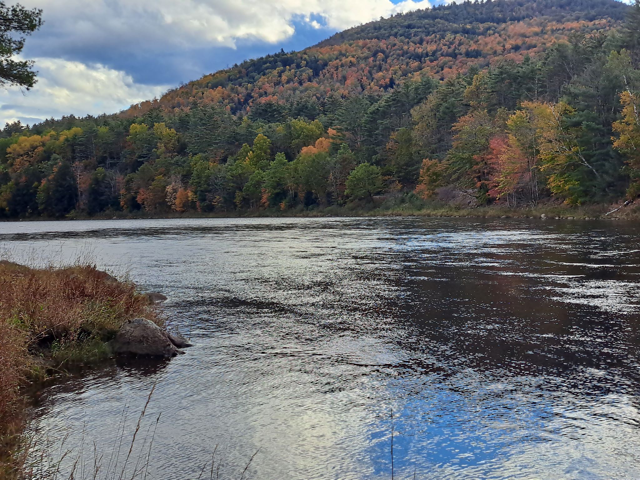 Hudson River Woods & Water