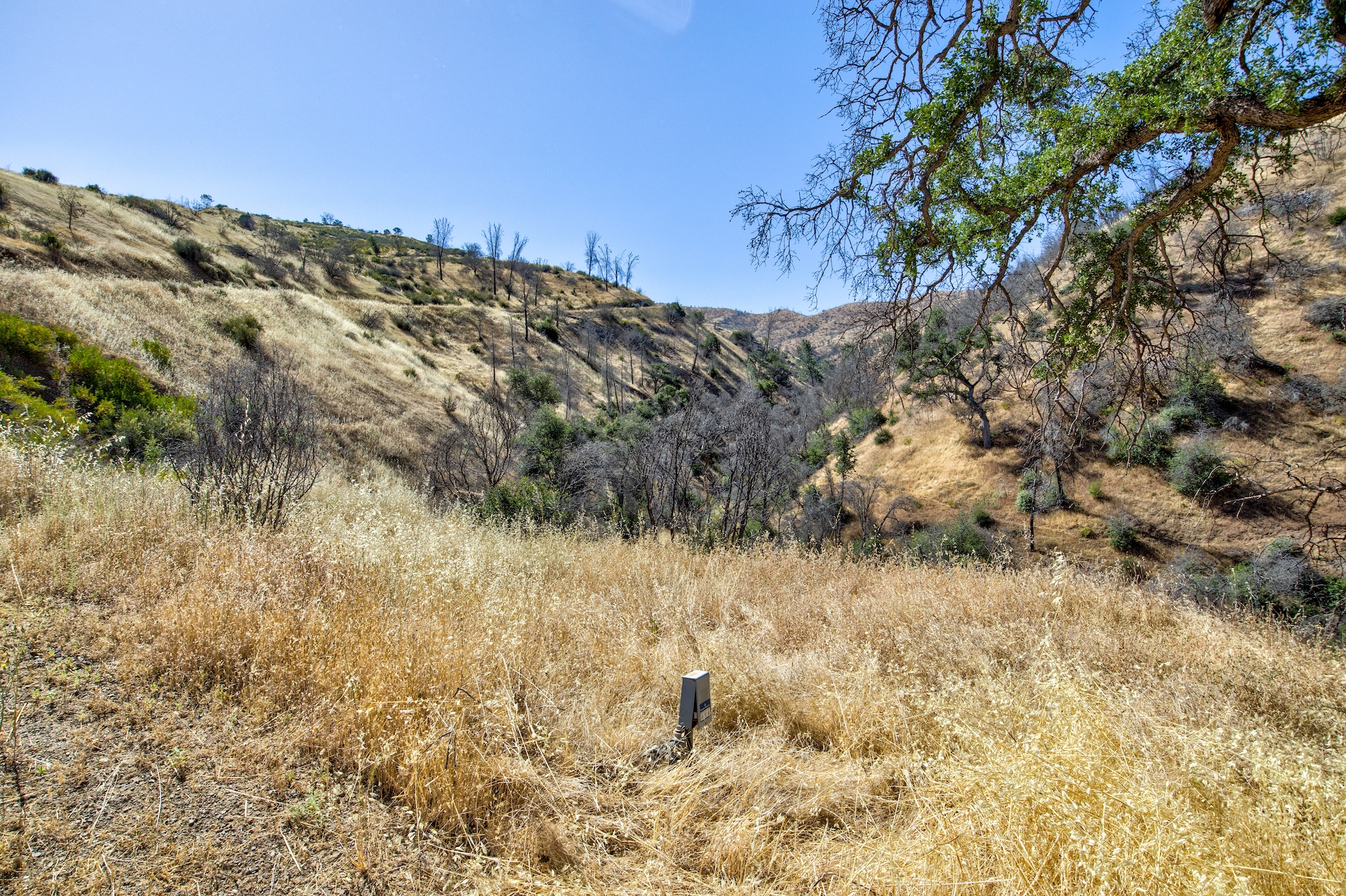 Old Iron Gate Ranch