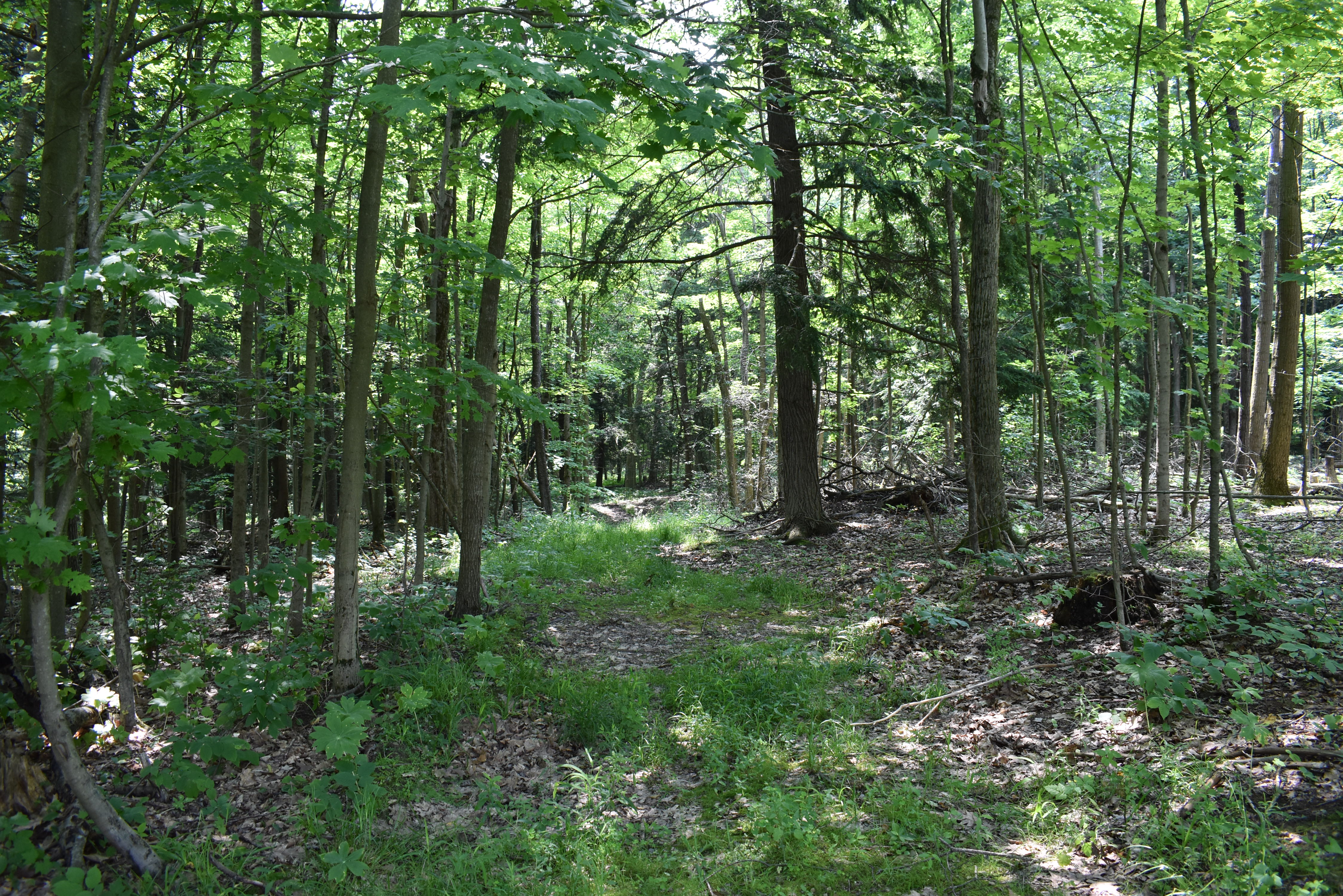 Listing Image 62