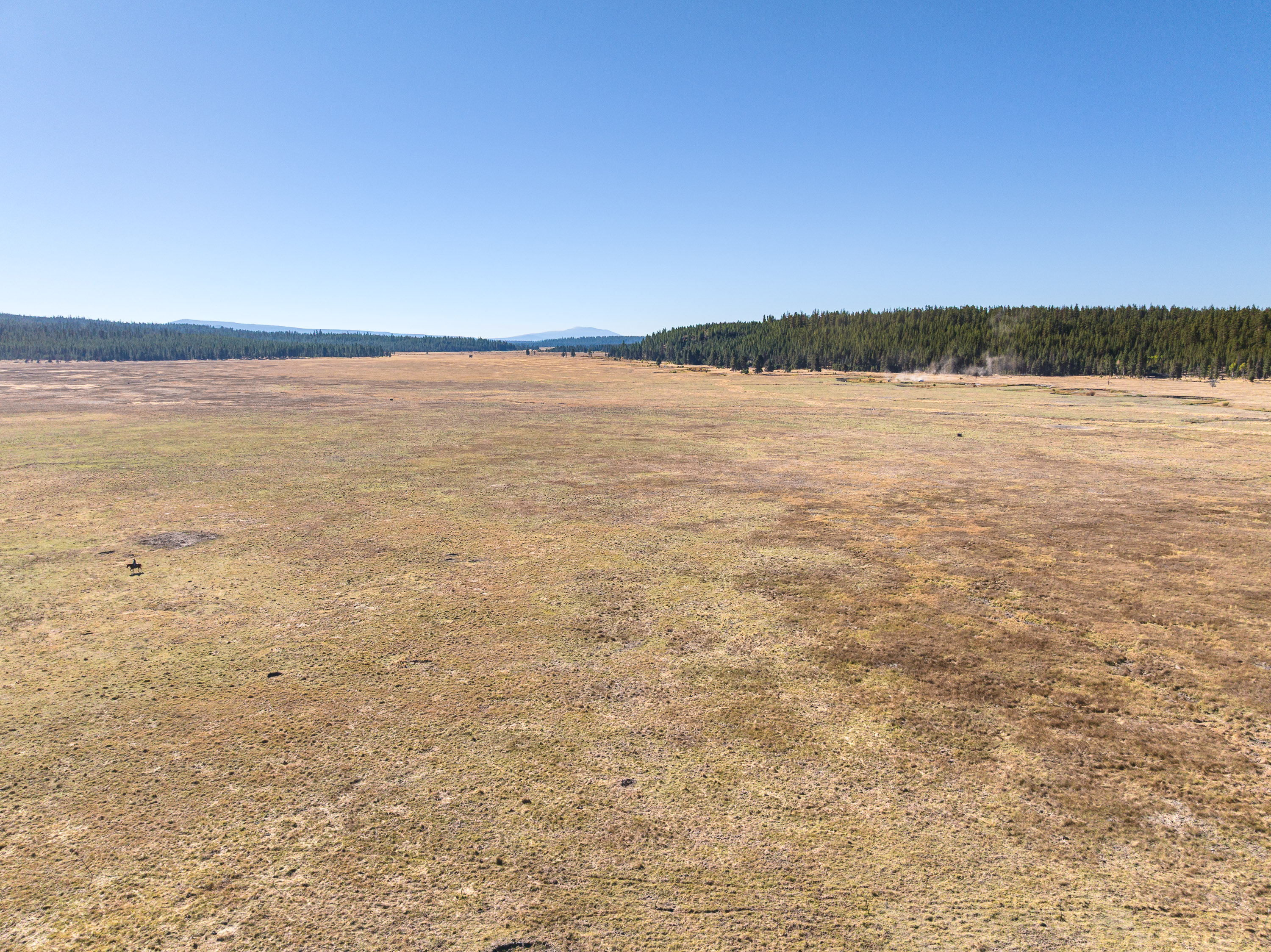 Listing Image 80