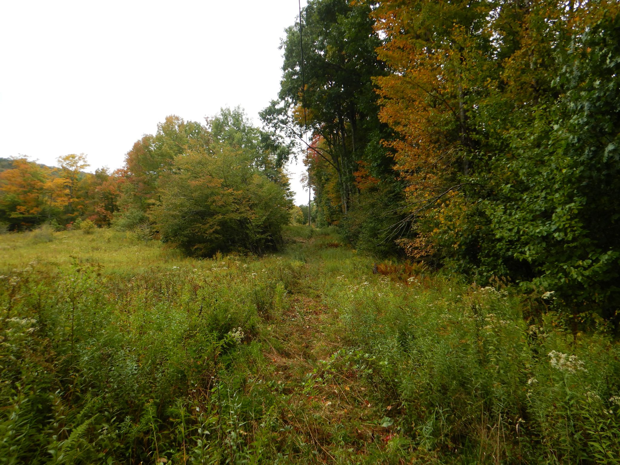 Listing Image 24