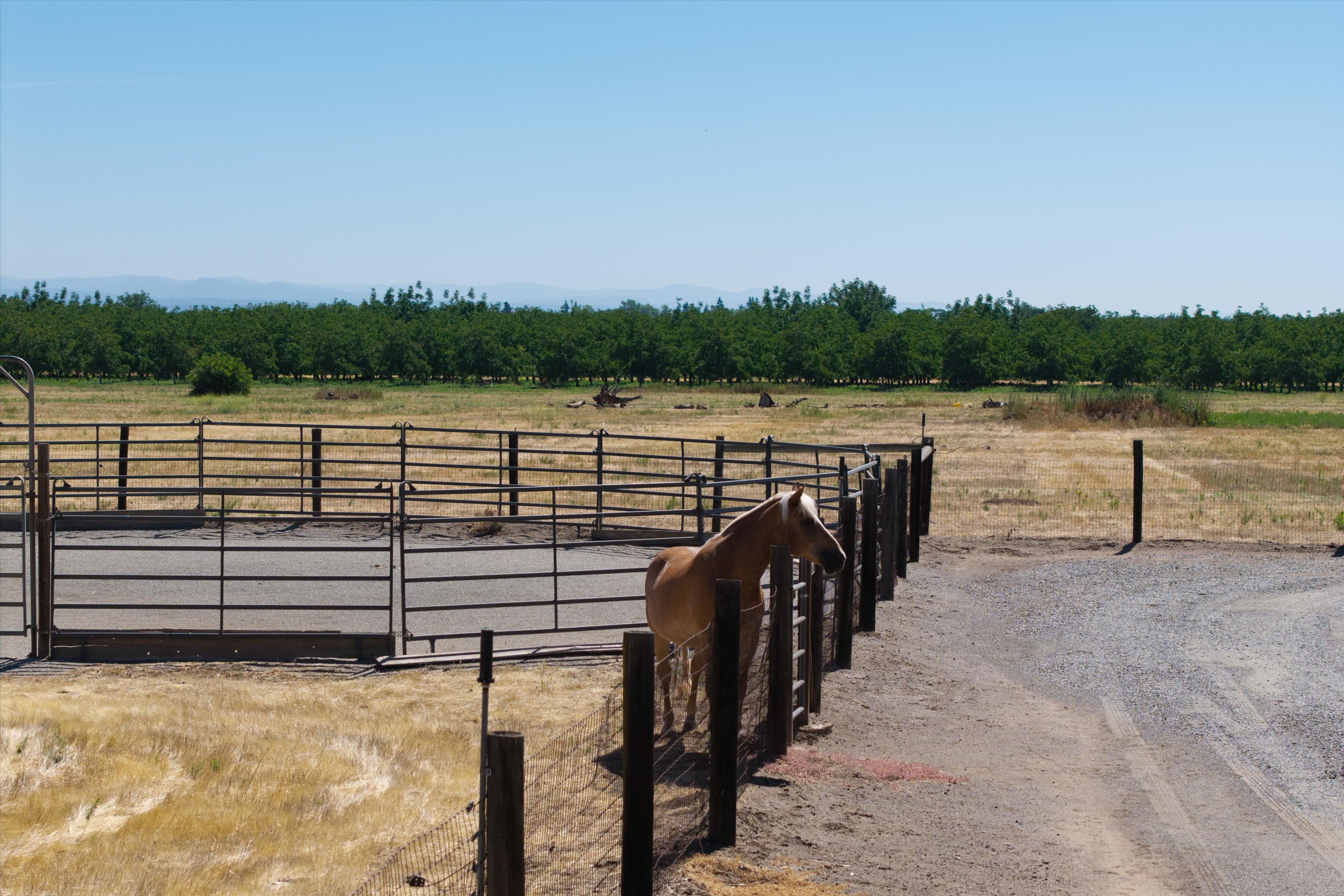 Woodard Ranch