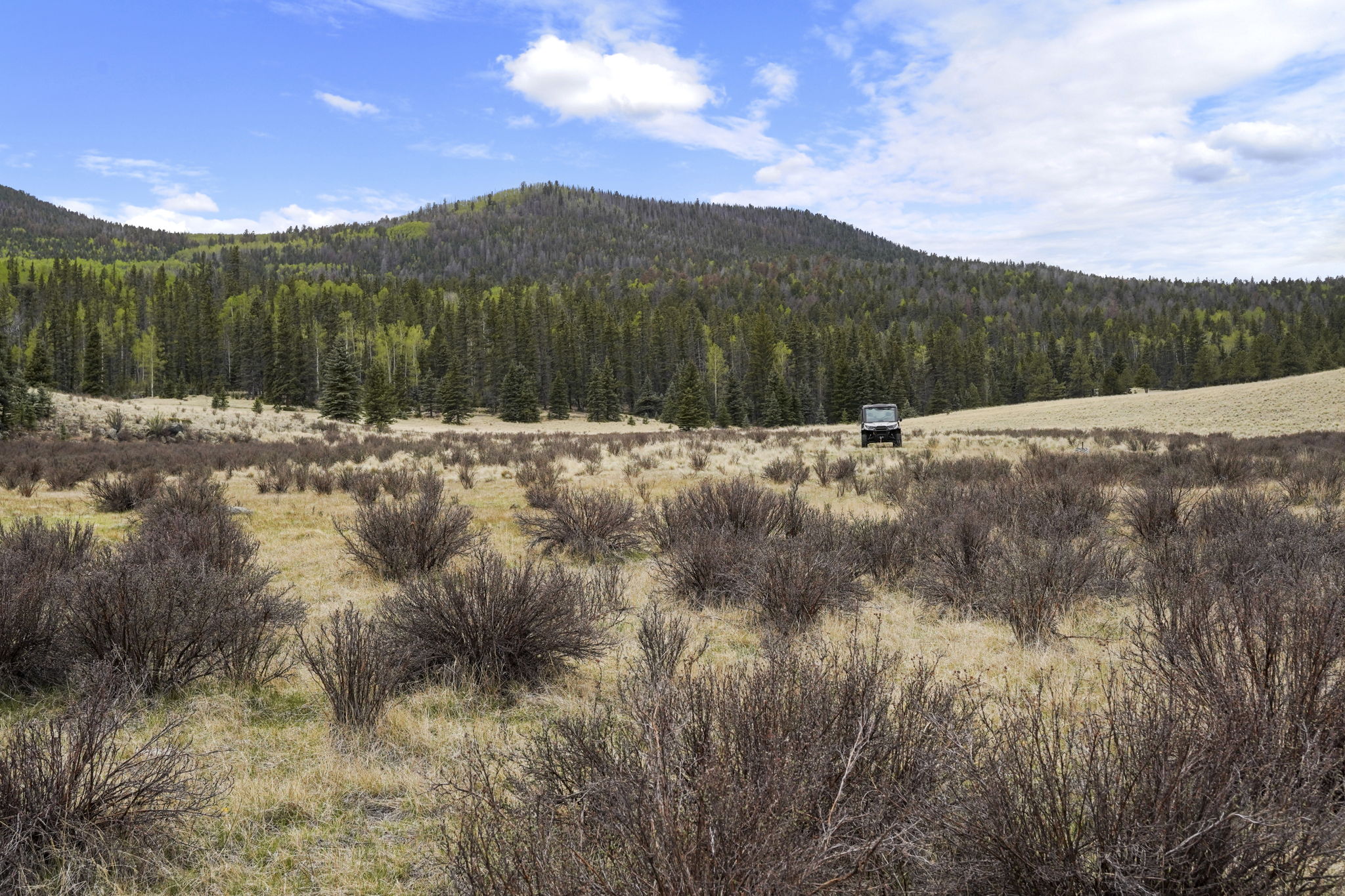 Listing Image 49