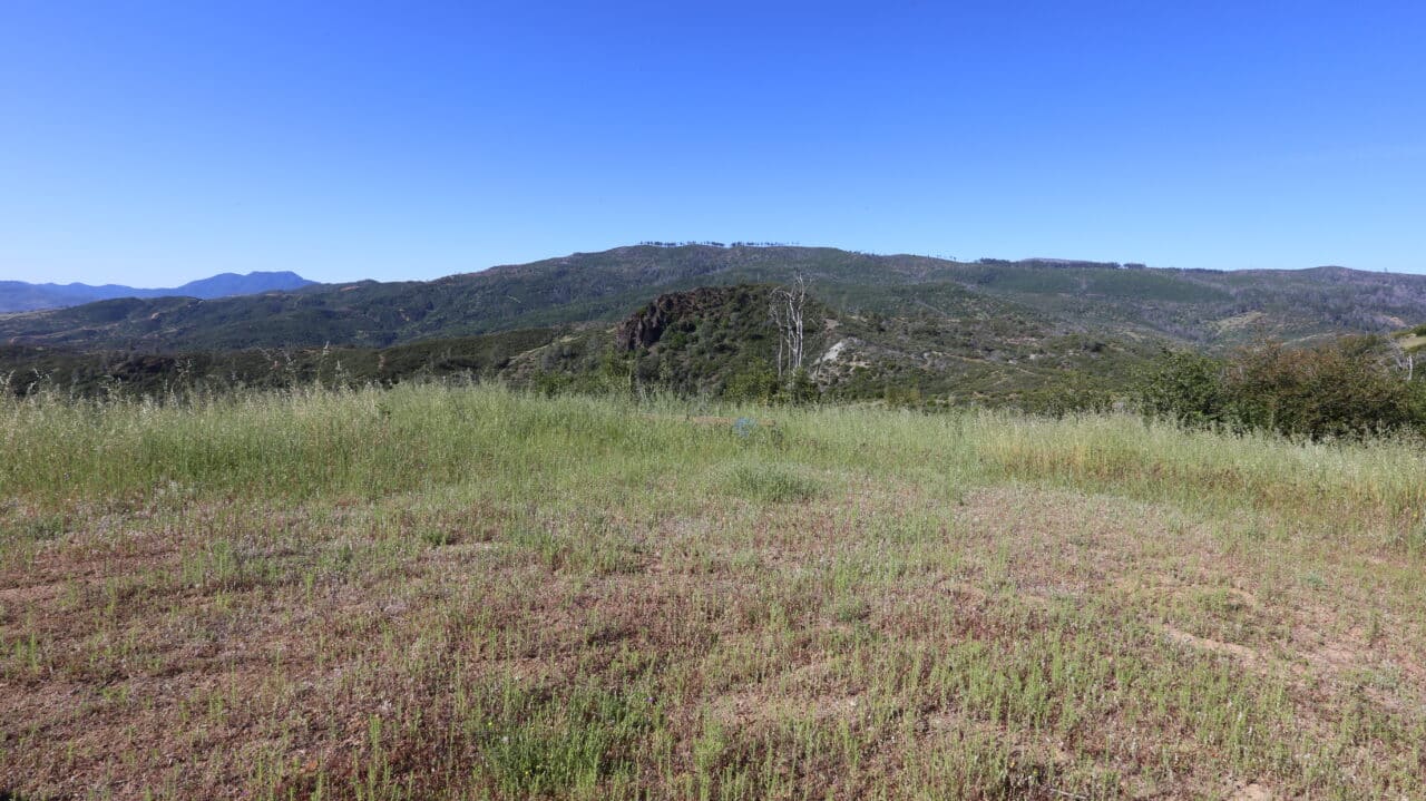 Listing Image 30