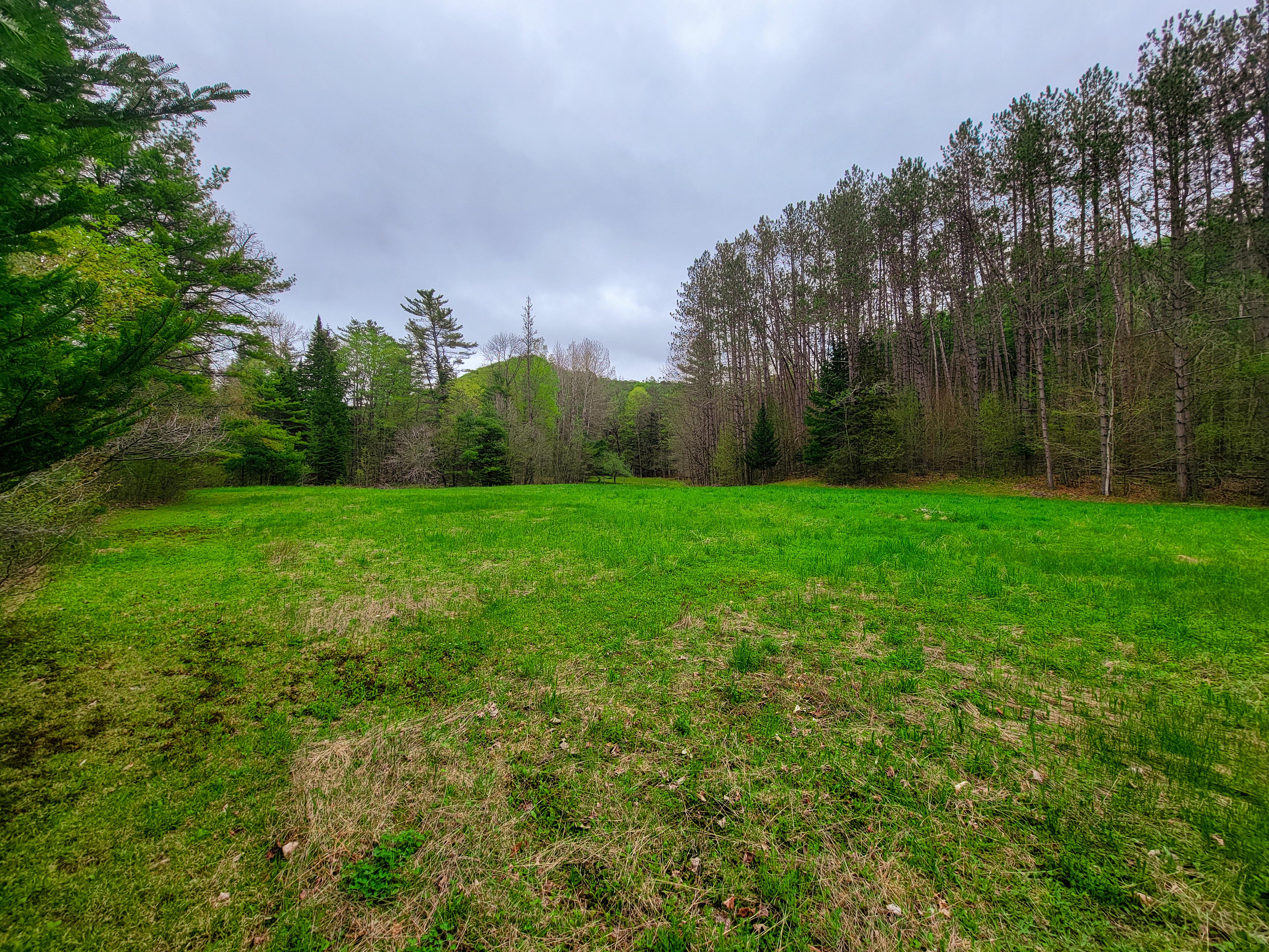 12 Meadowbrook Ln - Chelsea