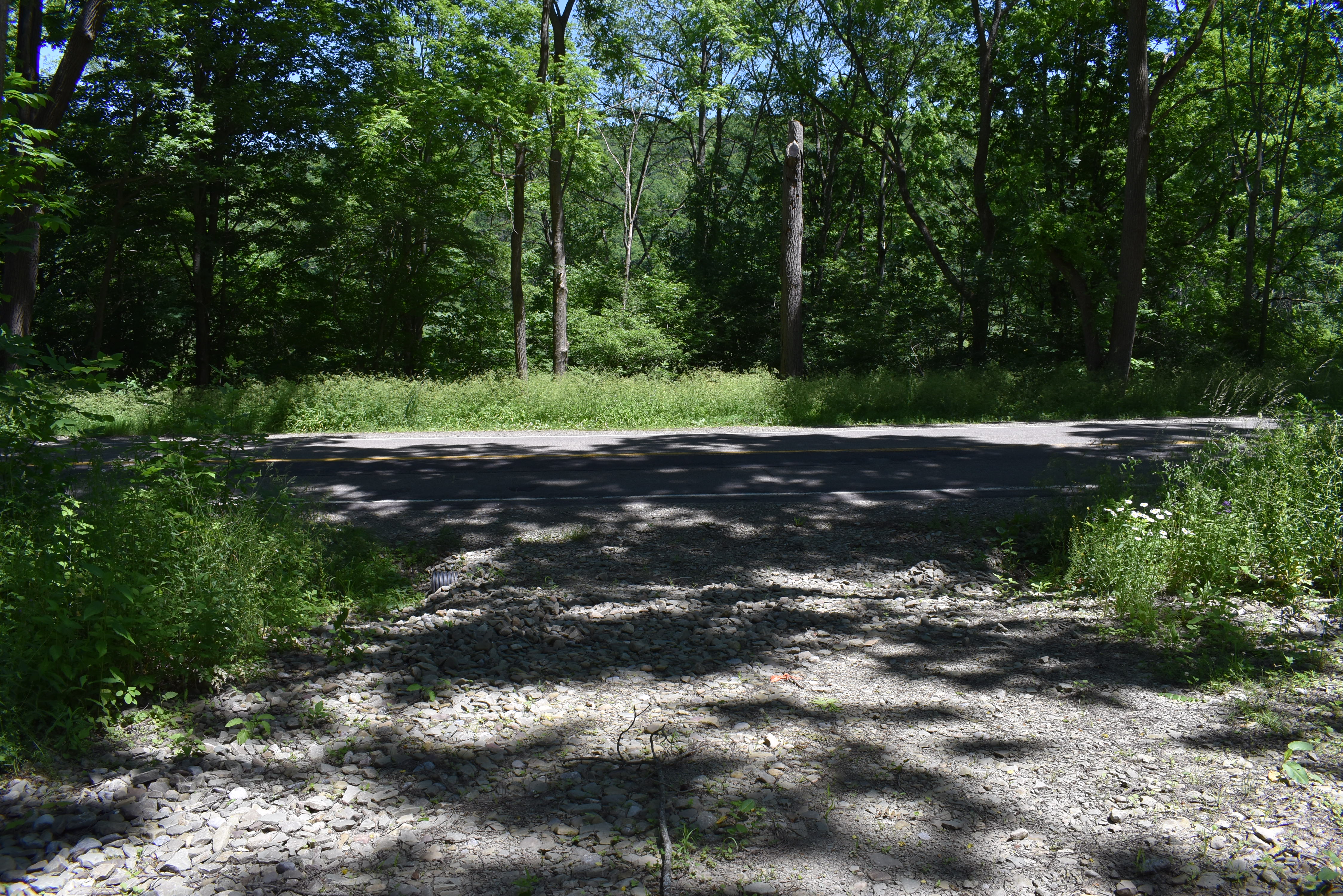 Fabulous Farrington Hollow