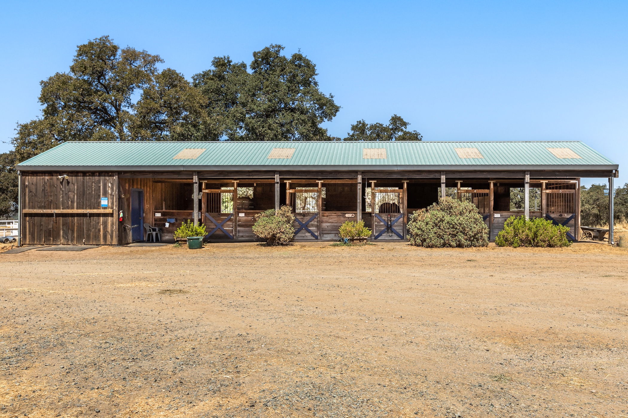 Blue Fountain Farm