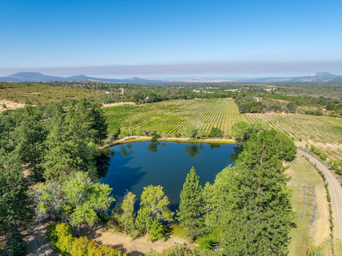 Alger Vineyards and More