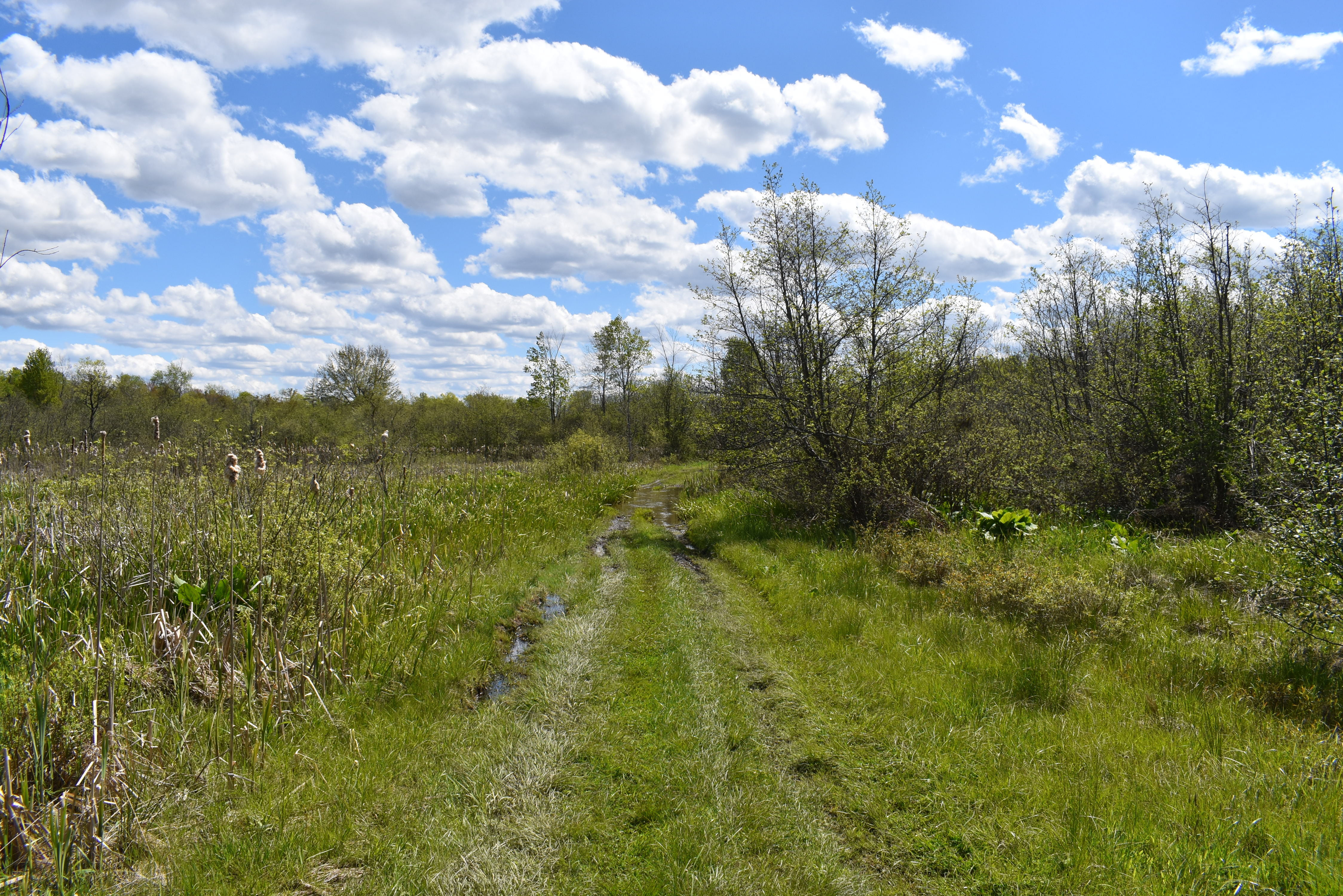 Listing Image 28