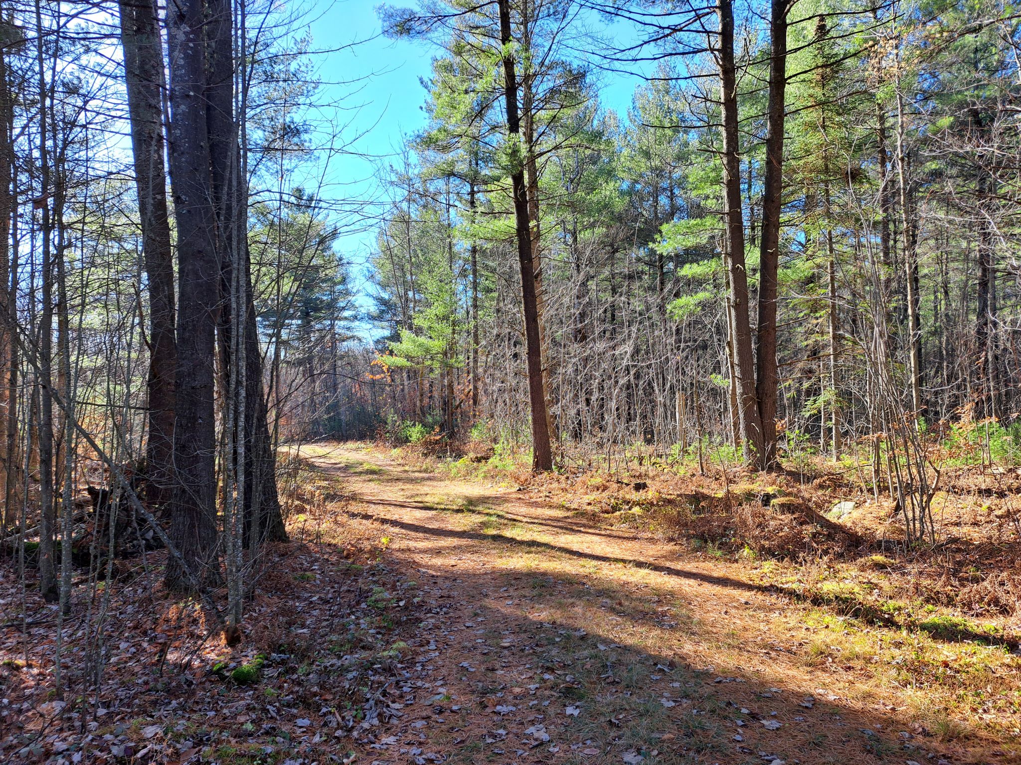 Listing Image 71