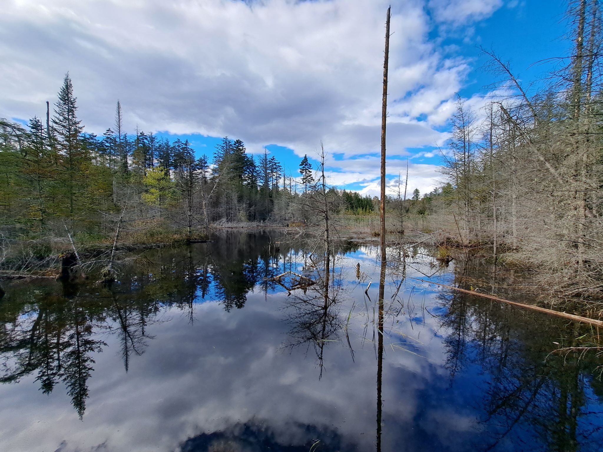 Hudson River Woods & Water