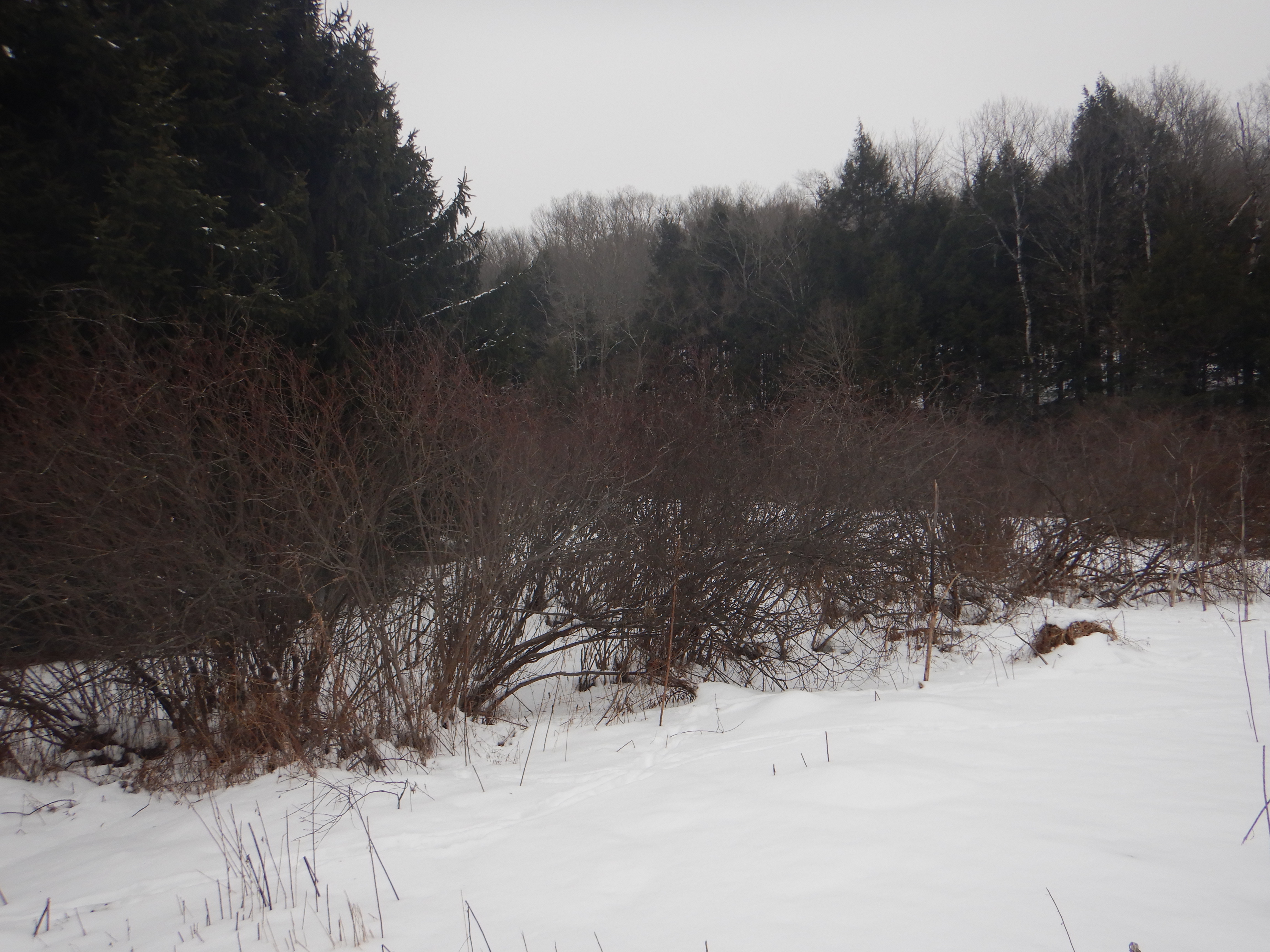Listing Image 17