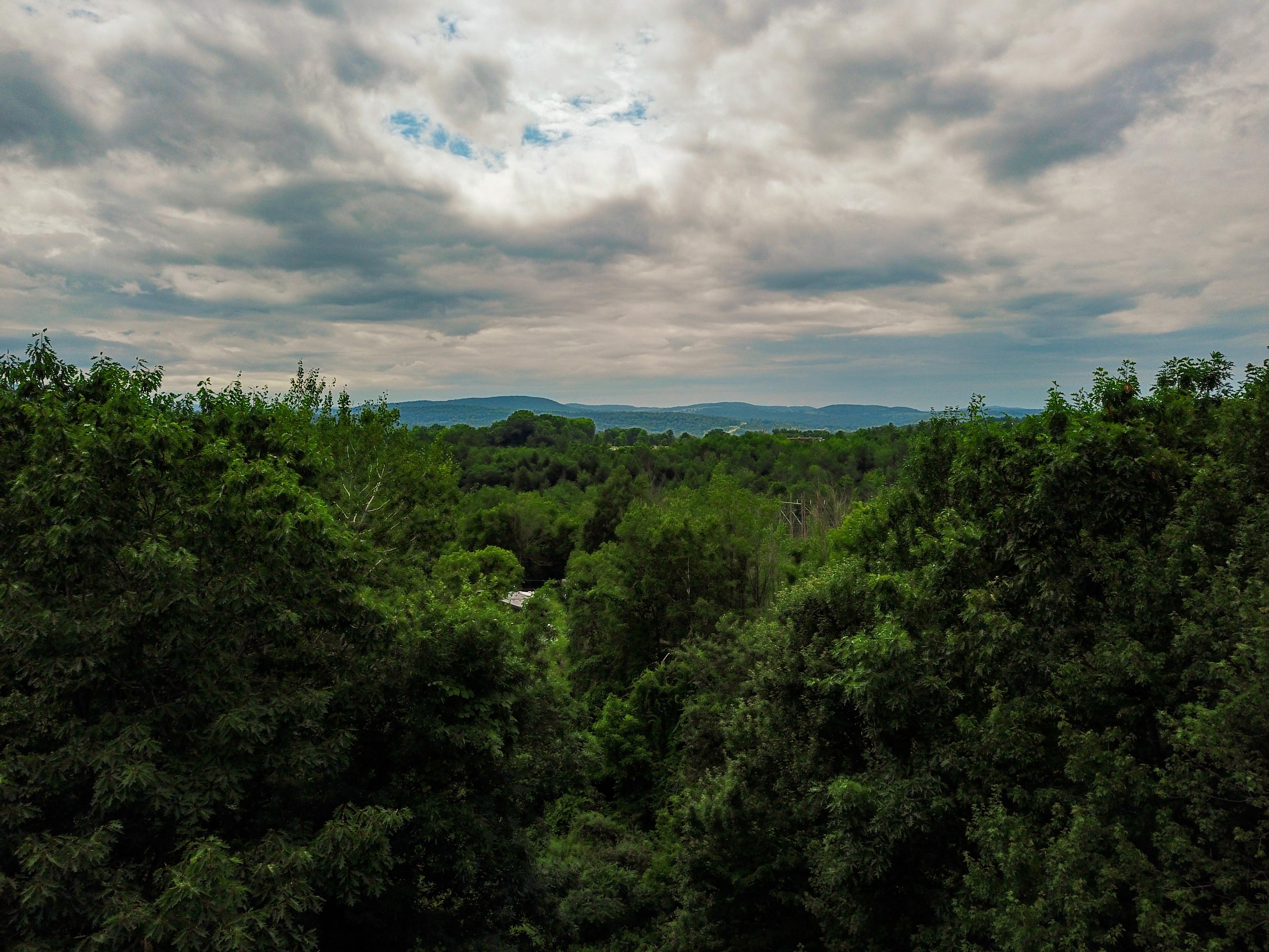 1073 Chapel Rd - Bennington