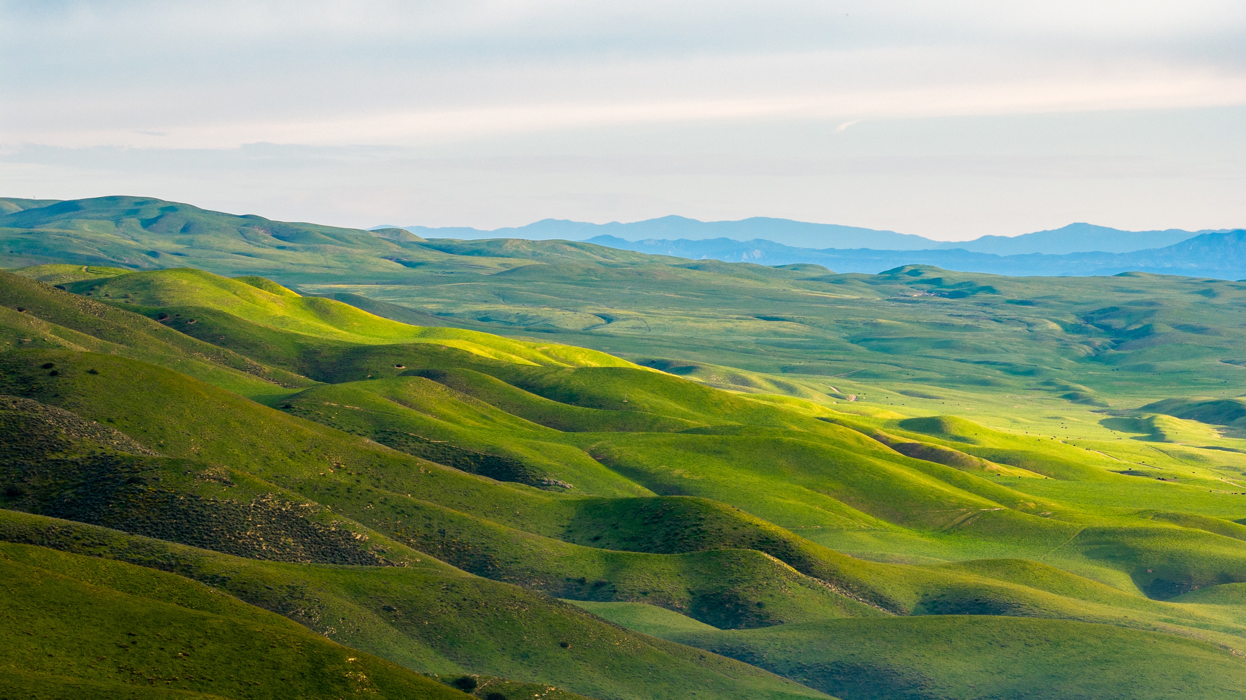 Pritchard Sumner Ranch