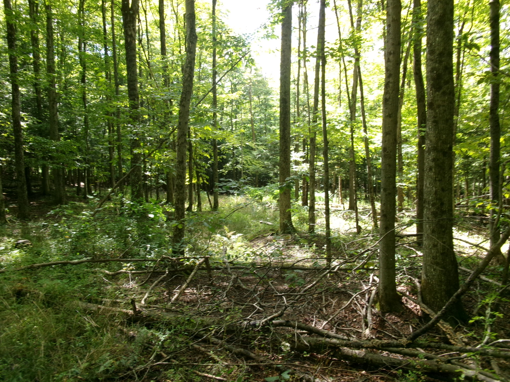 Listing Image 16