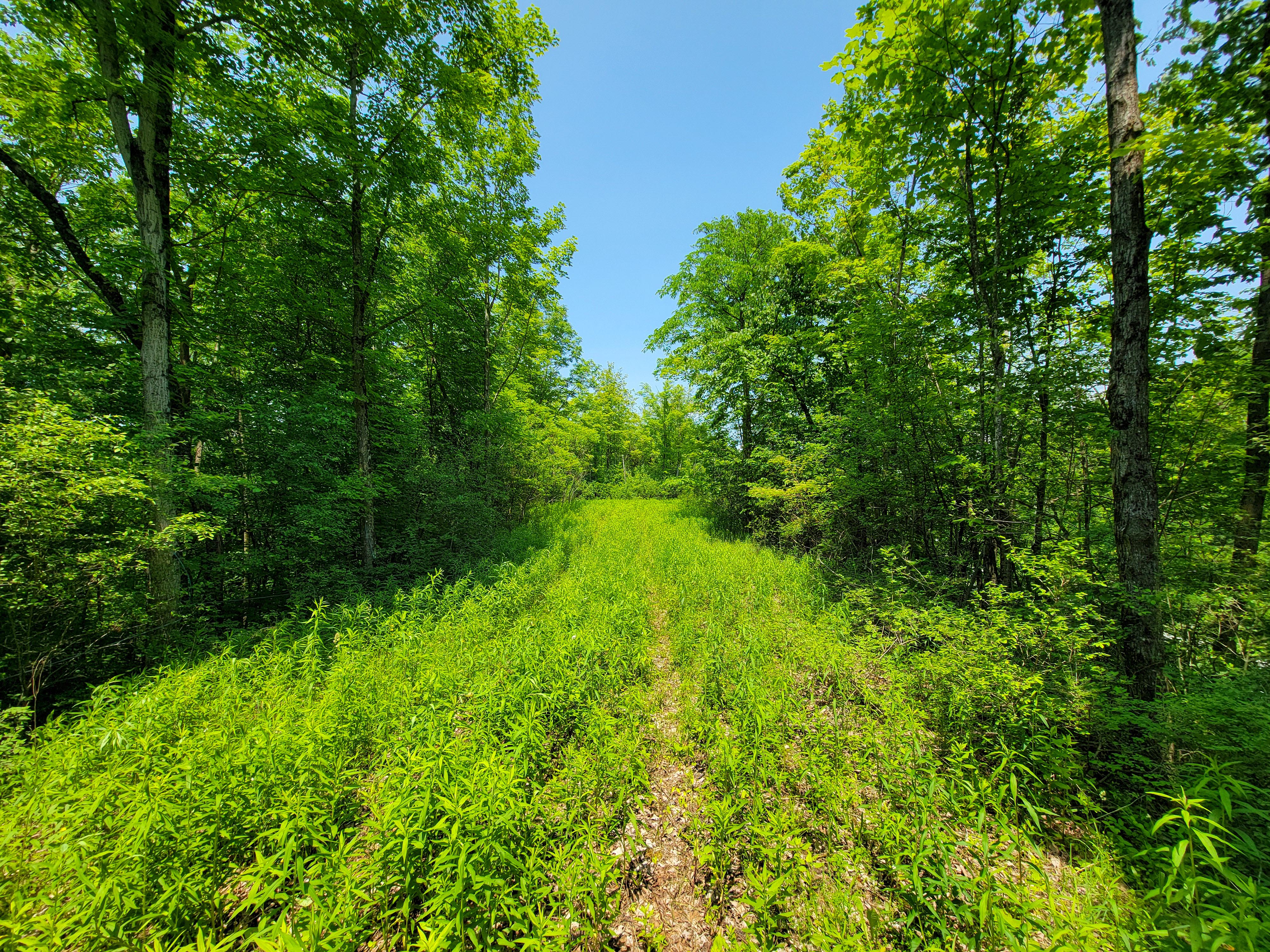 21 Nickerson Rd - Brandon