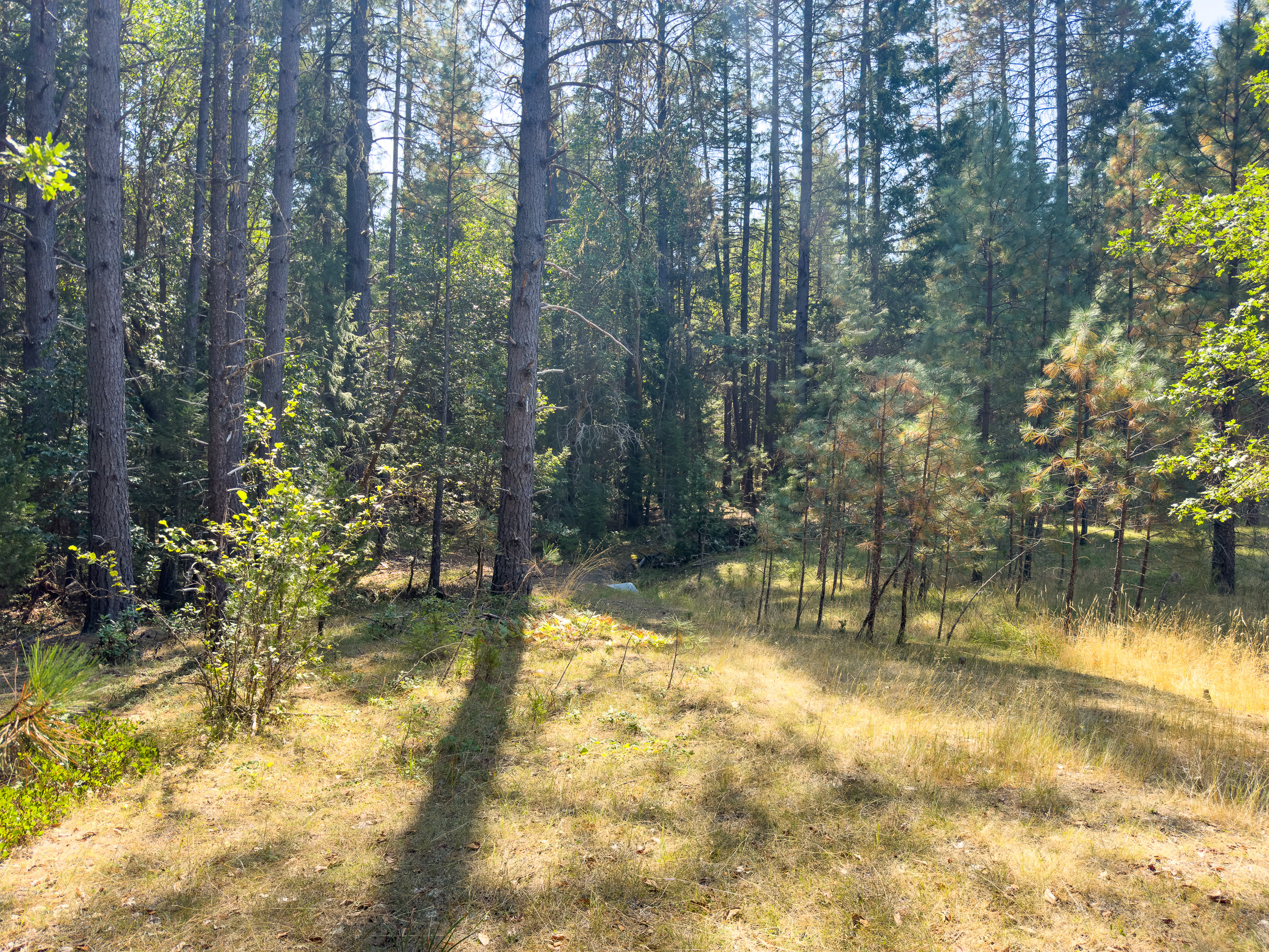 Pleasant Creek Road TL301