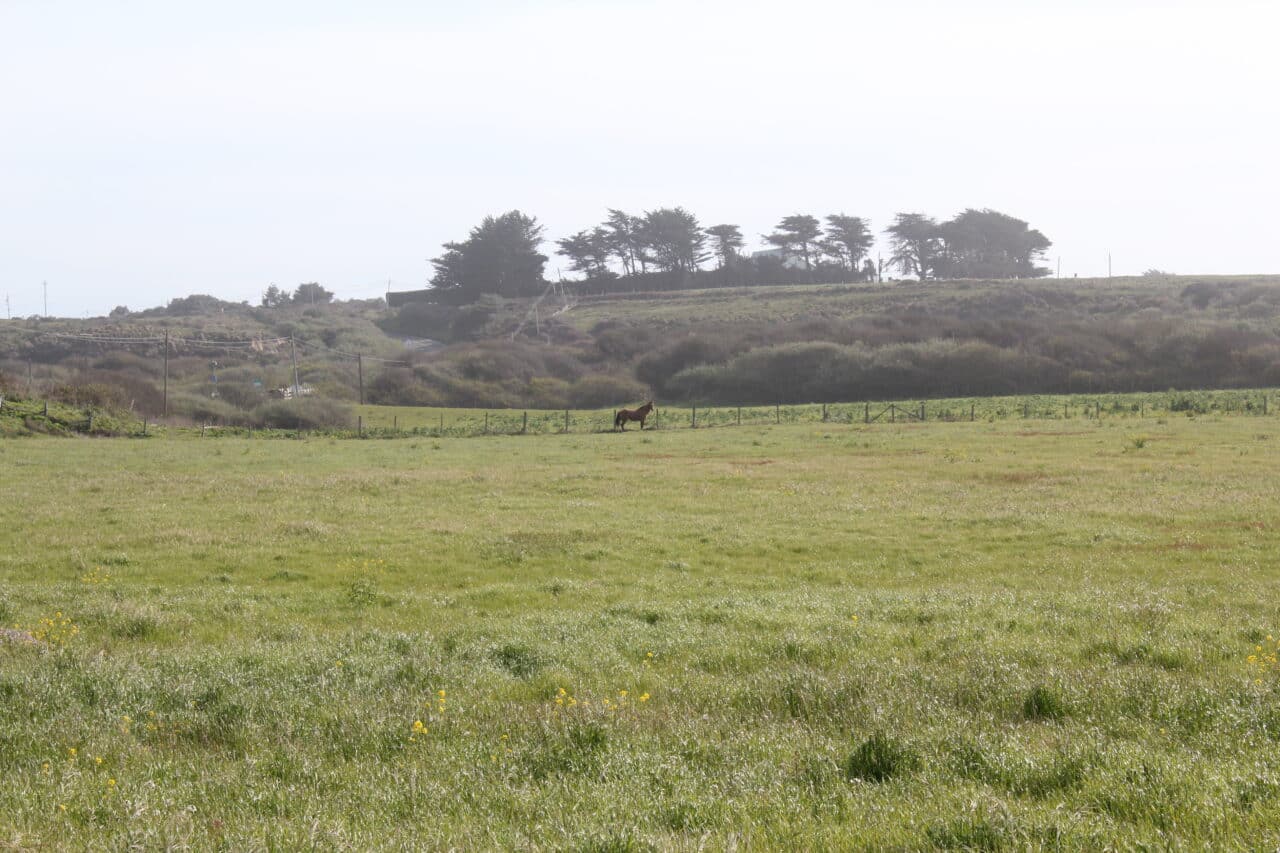 Listing Image 47