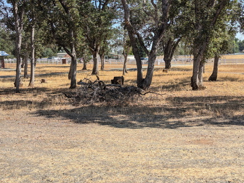 Listing Image 20