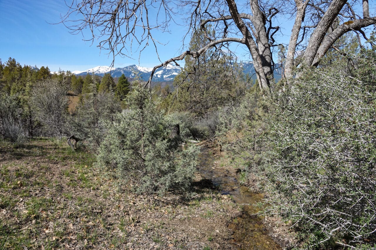 Blacktail Hills Retreat