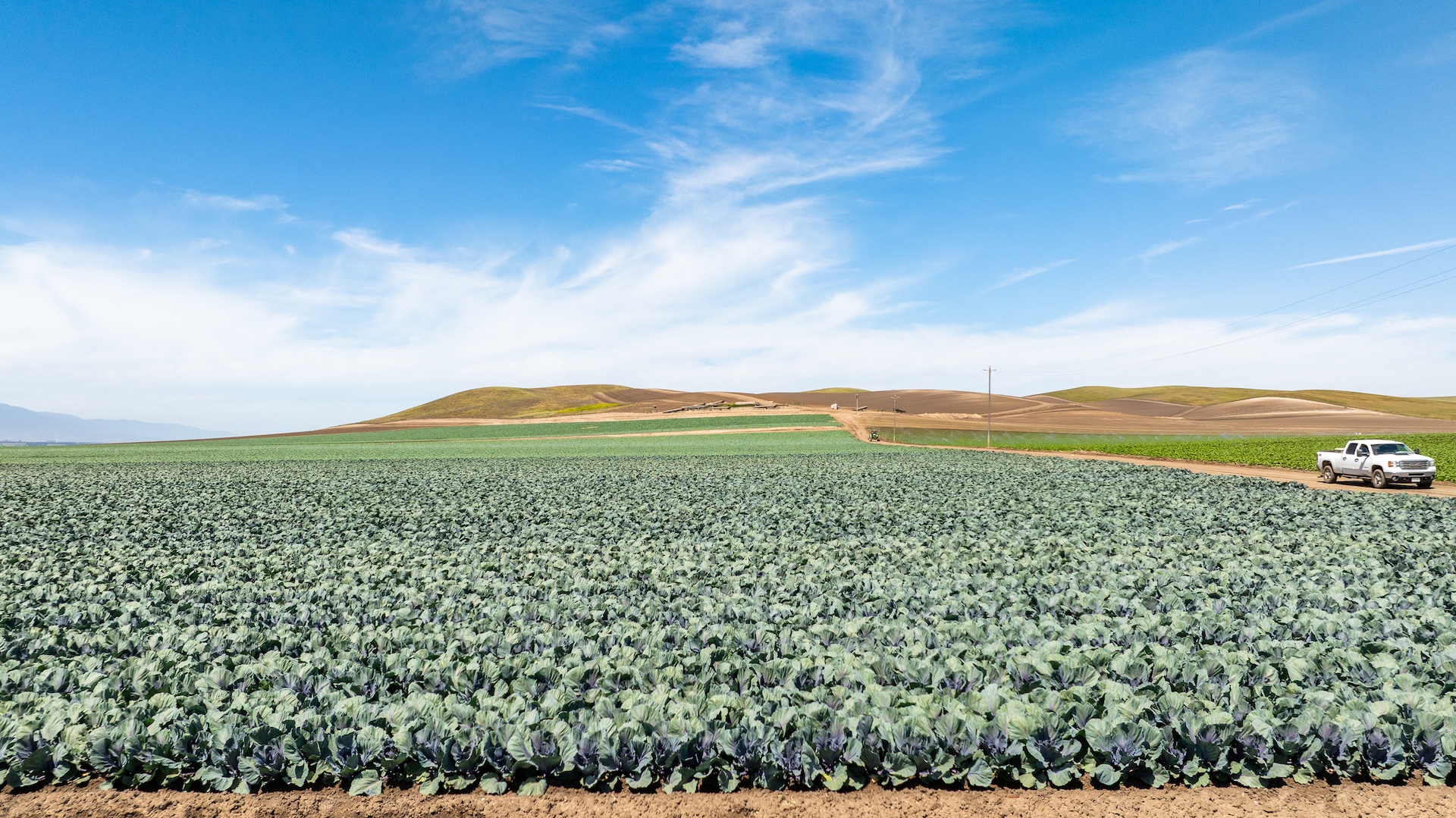 Reynolds Land & Cattle Co. Farmland