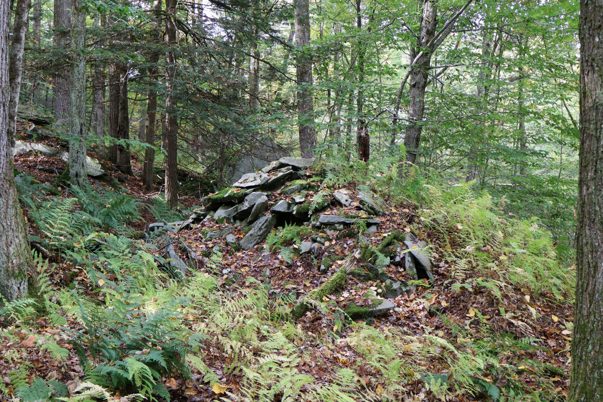 Listing Image 4