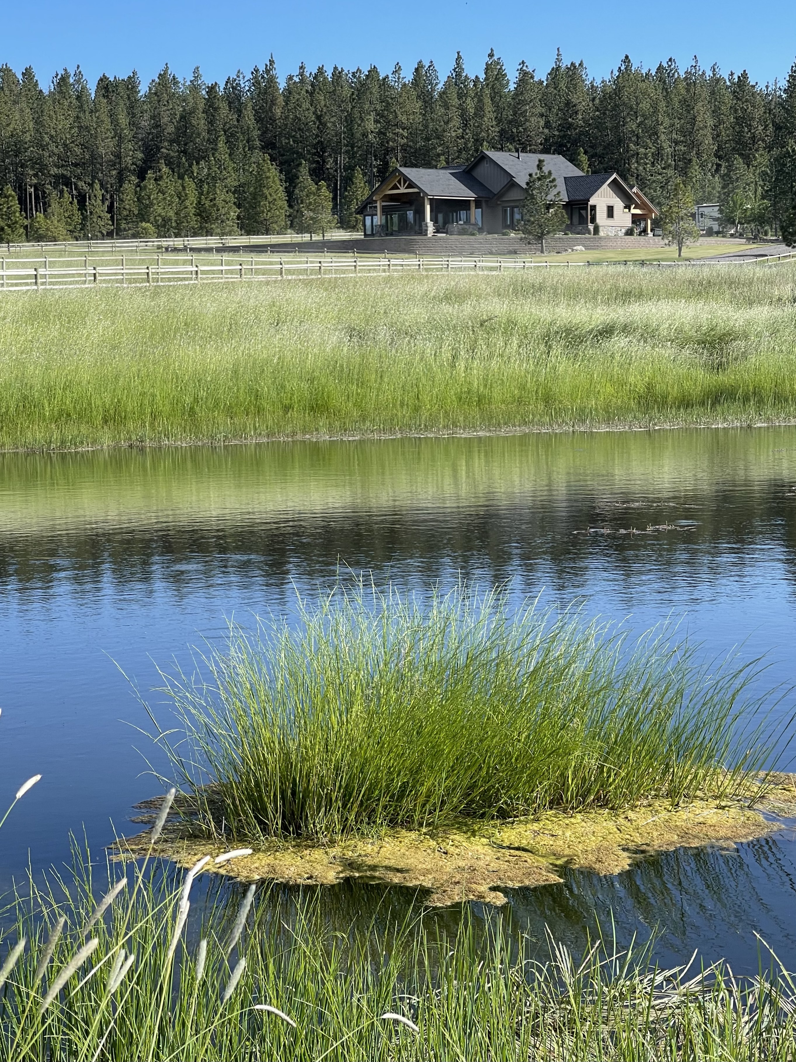 Listing Image 52