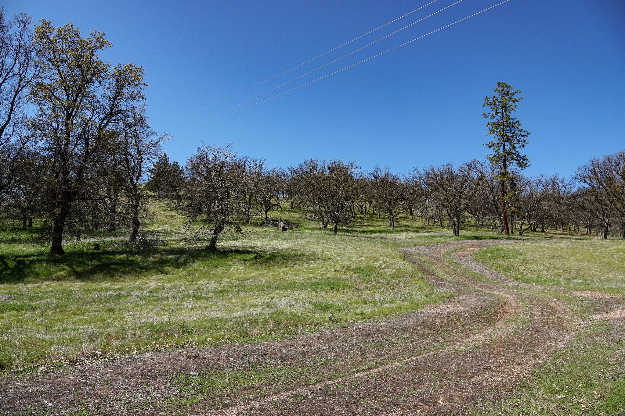 Kraus and Sons Ranch