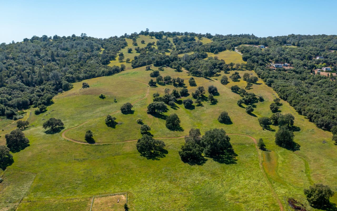 Listing Image 52