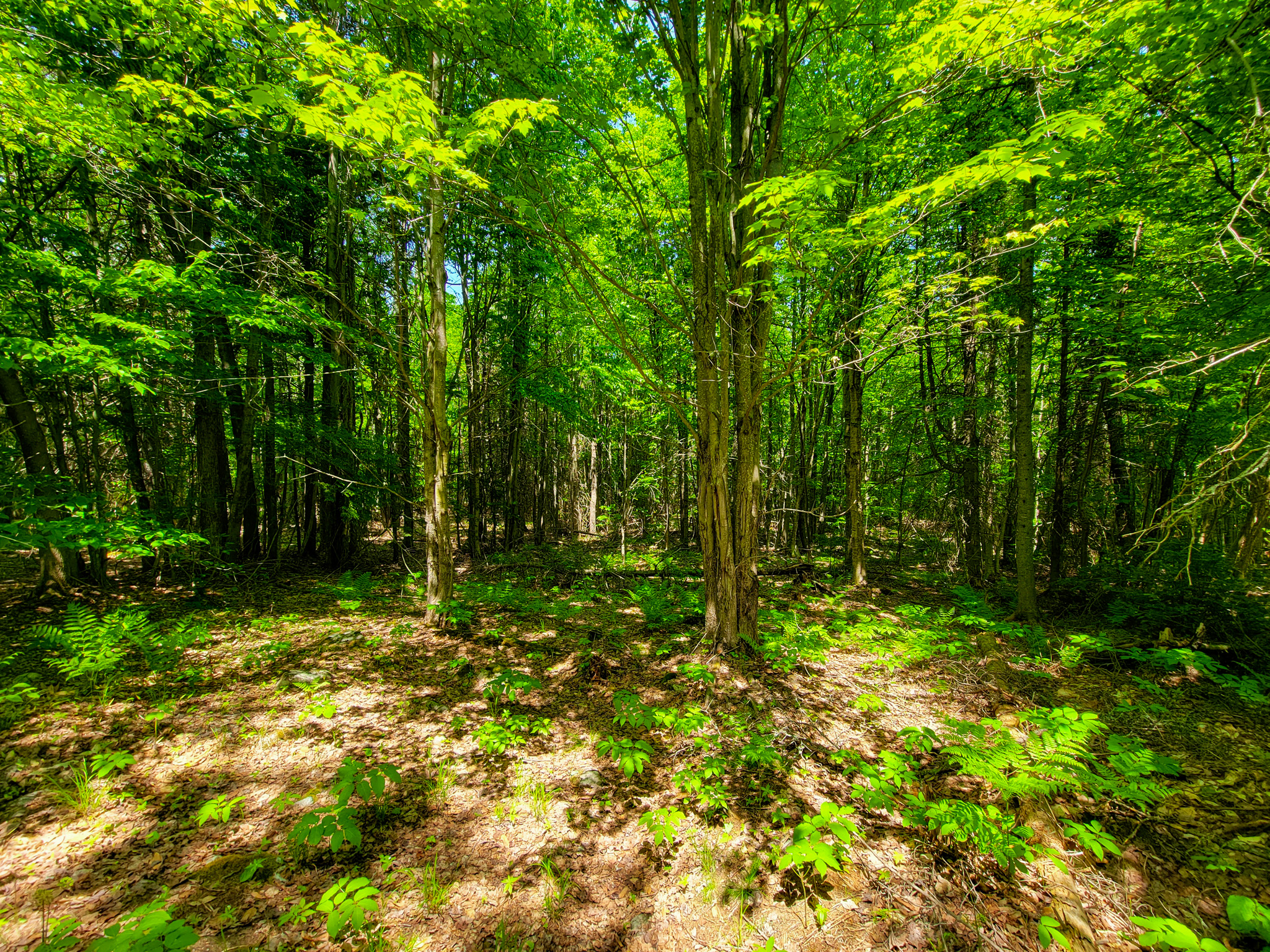 280 Gorham Hill Road - Gorham, NH