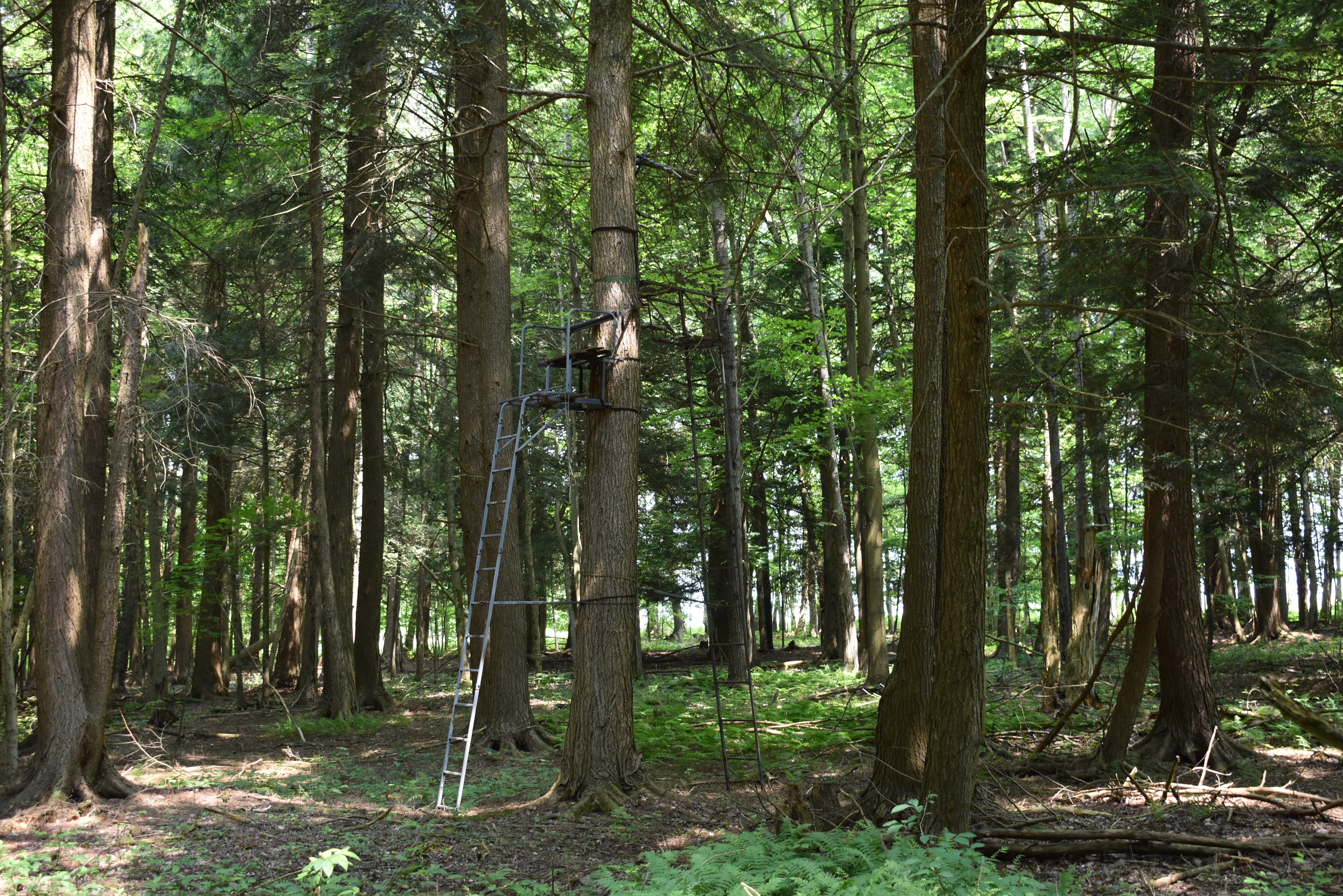 Listing Image 4