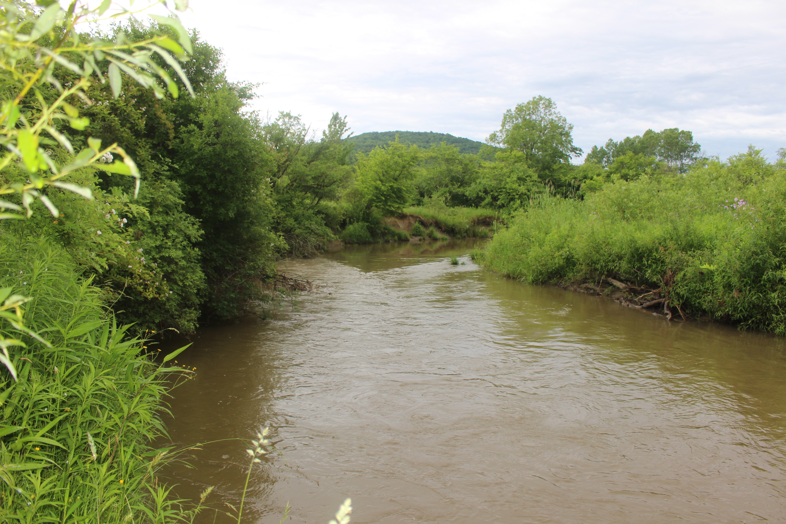 Dodge Creek
